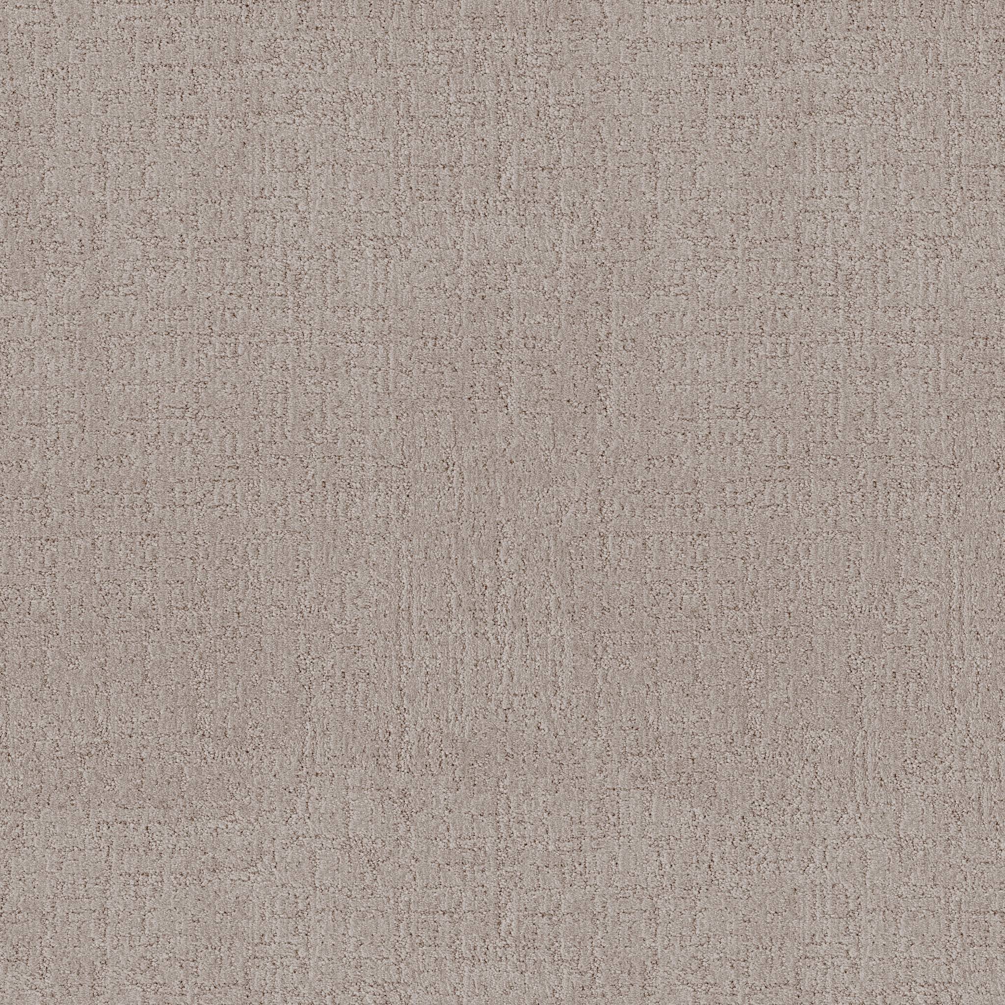 Indulgent Carpet - Greige Zoomed Swatch Image