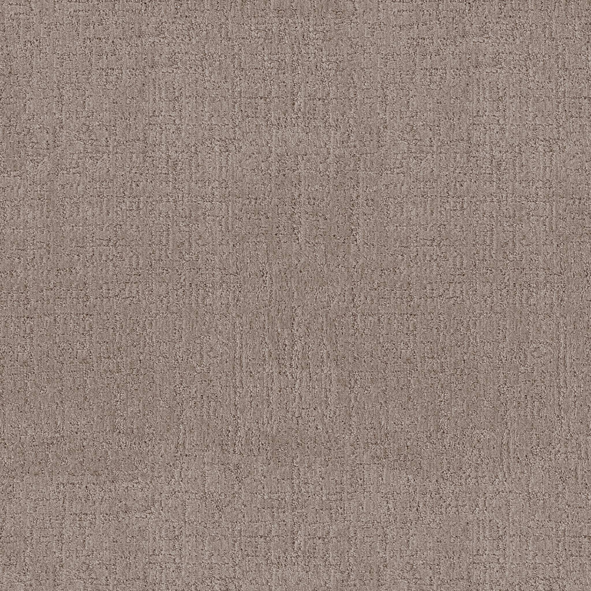 Indulgent Carpet - Taupestone Zoomed Swatch Image