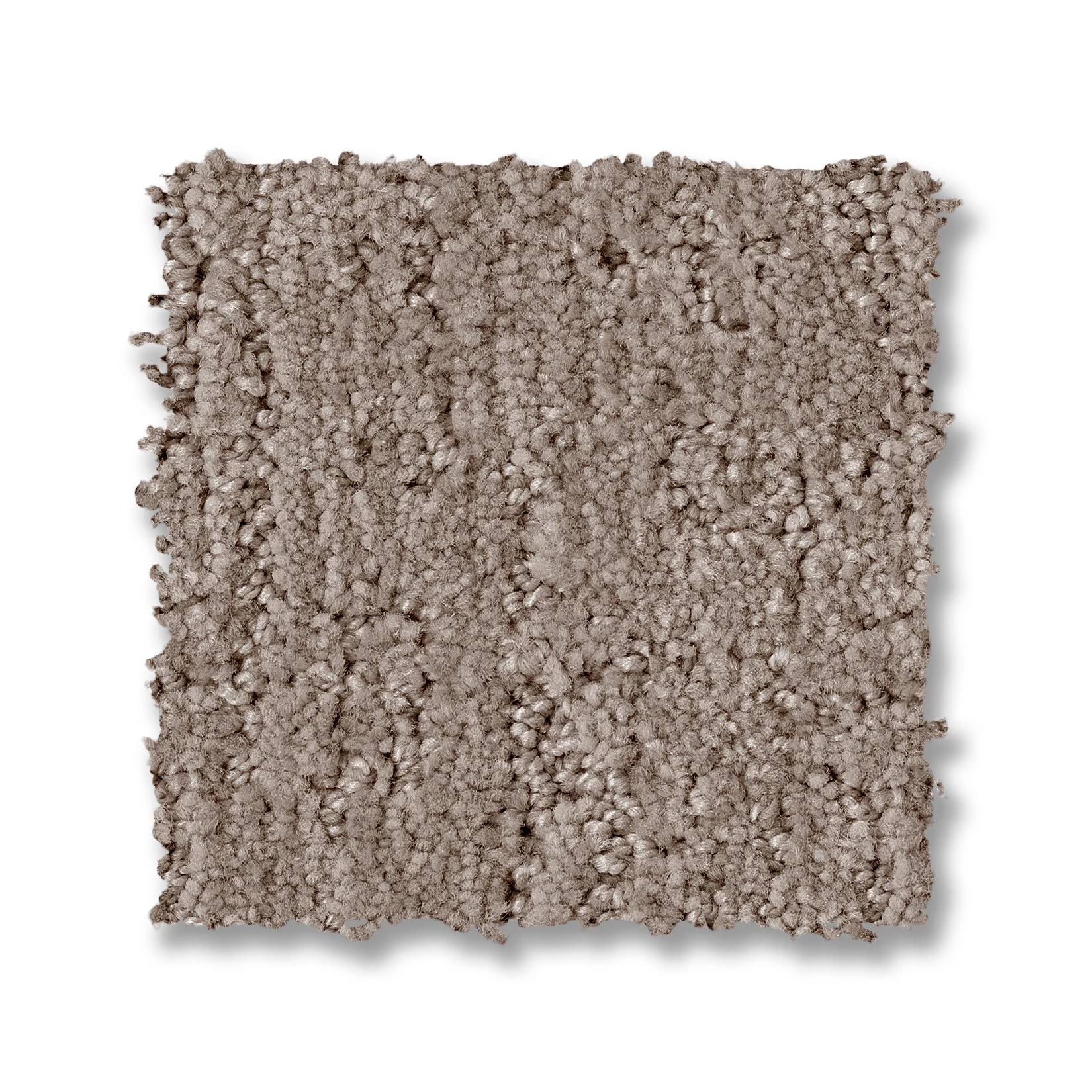 Indulgent Carpet - Taupestone Swatch Thumbnail pupop1