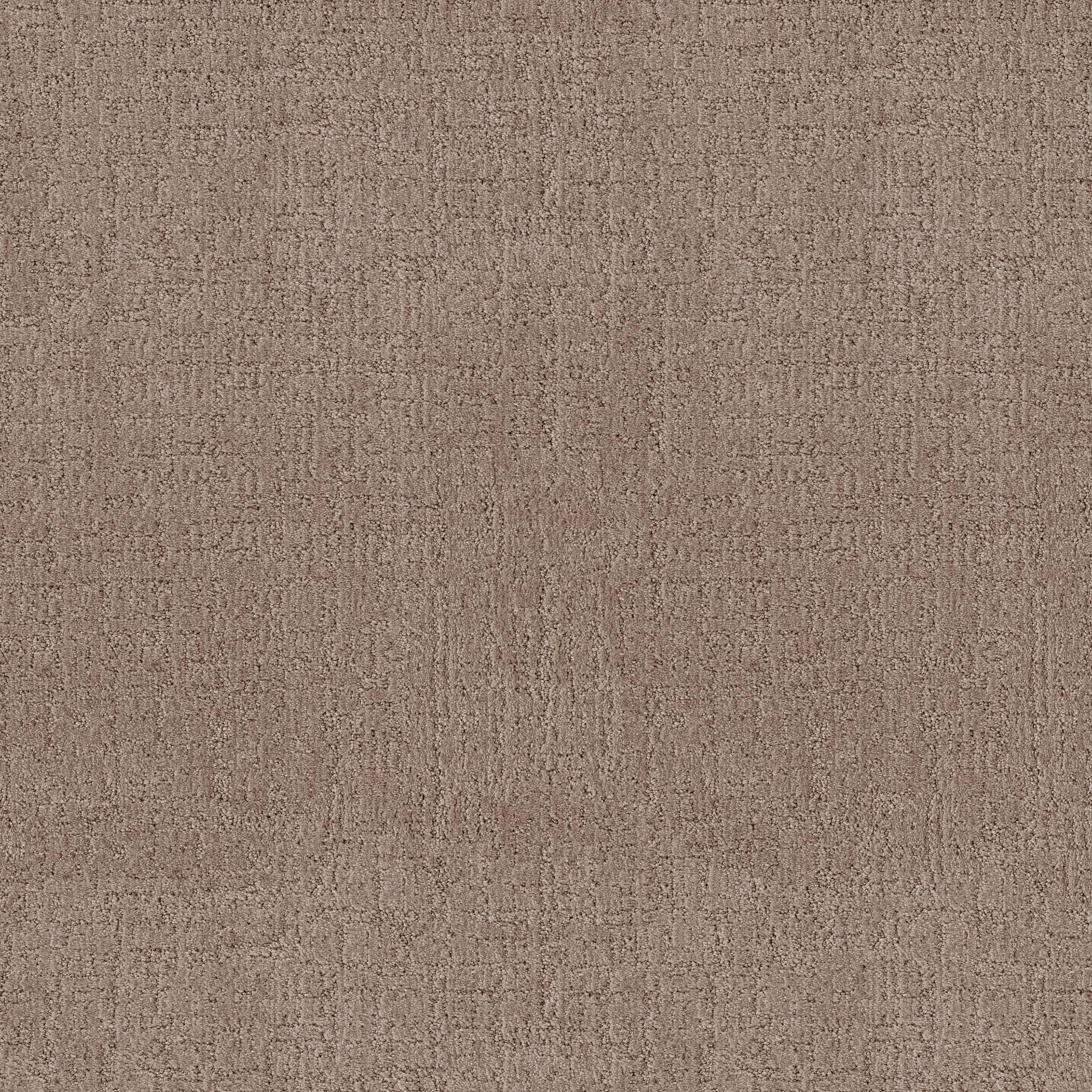 Indulgent Carpet - Oxford Tan Zoomed Swatch Image