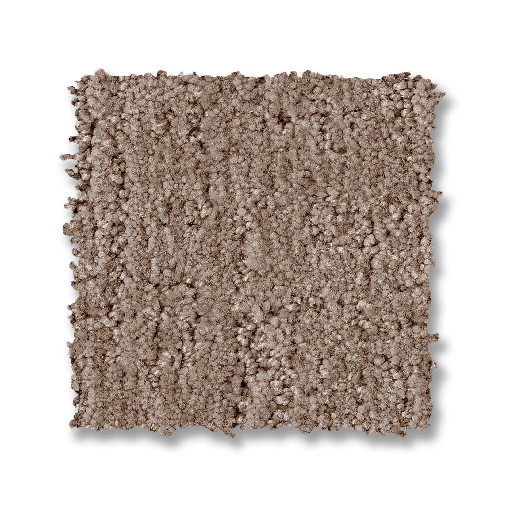 Indulgent Carpet - Oxford Tan Swatch Thumbnail pupop1