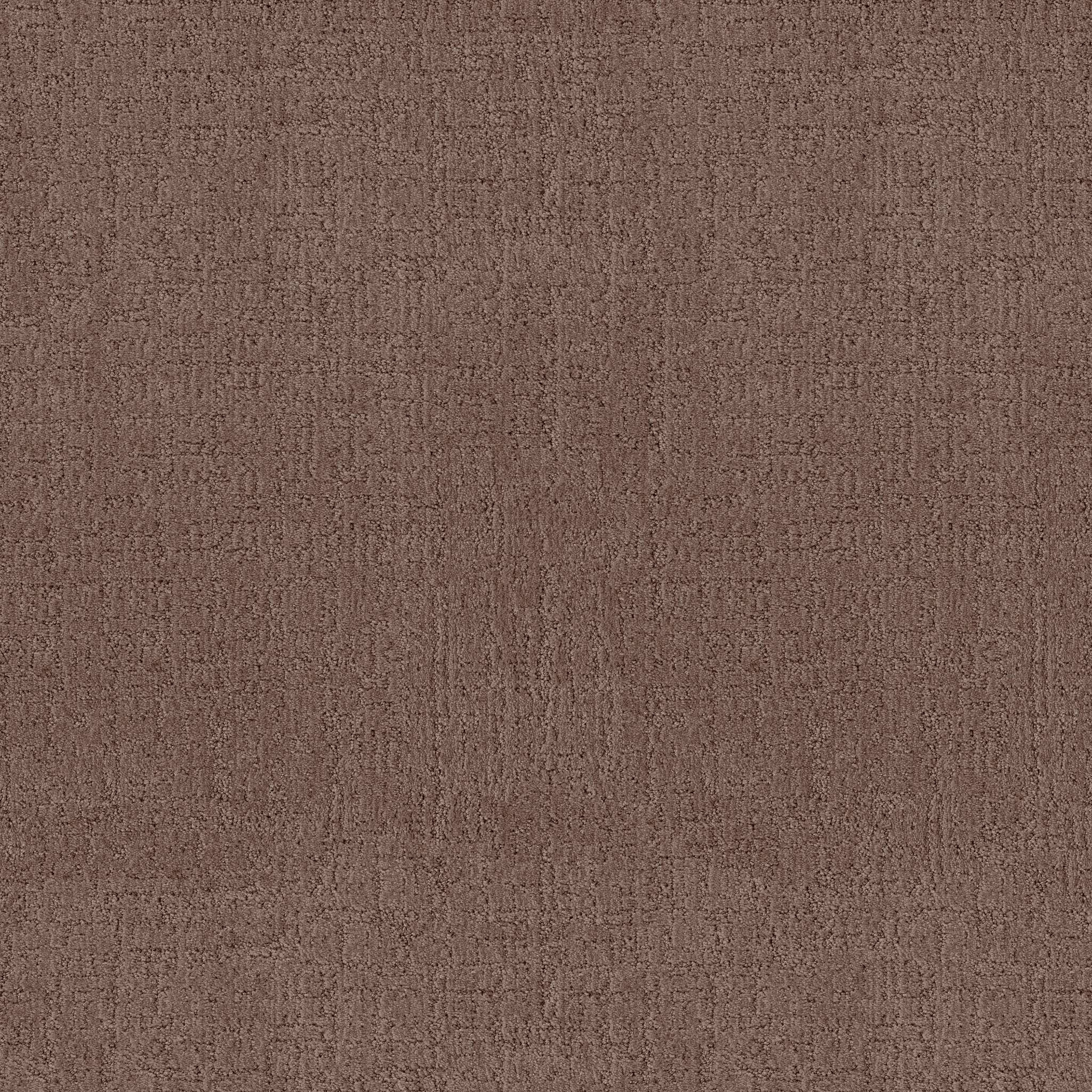 Indulgent Carpet - Desert Haze Zoomed Swatch Image