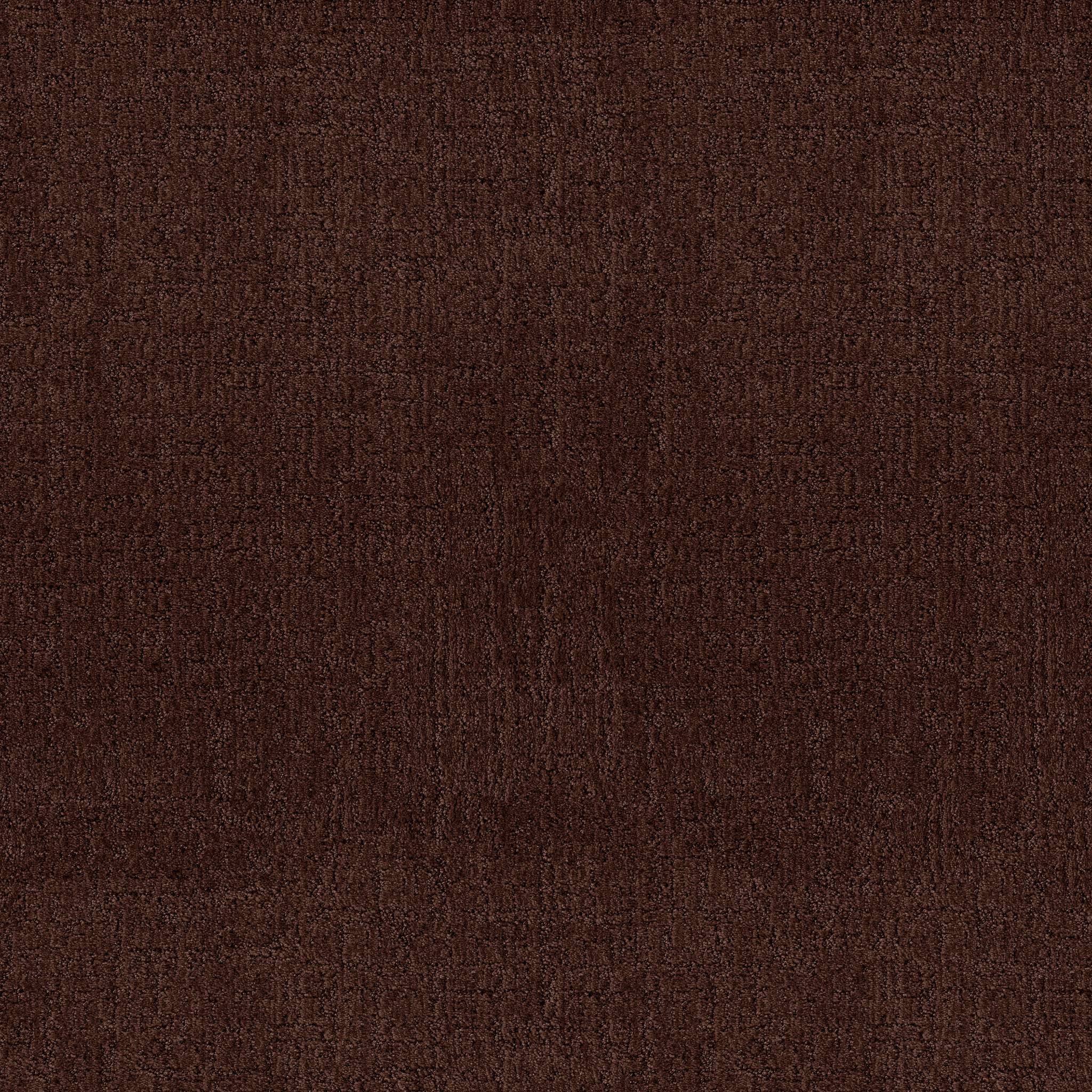 Indulgent Carpet - Moroccan Zoomed Swatch Image