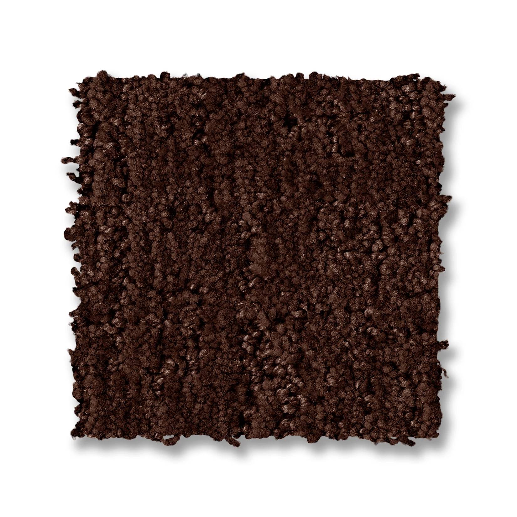 Indulgent Carpet - Moroccan Swatch Thumbnail pupop1