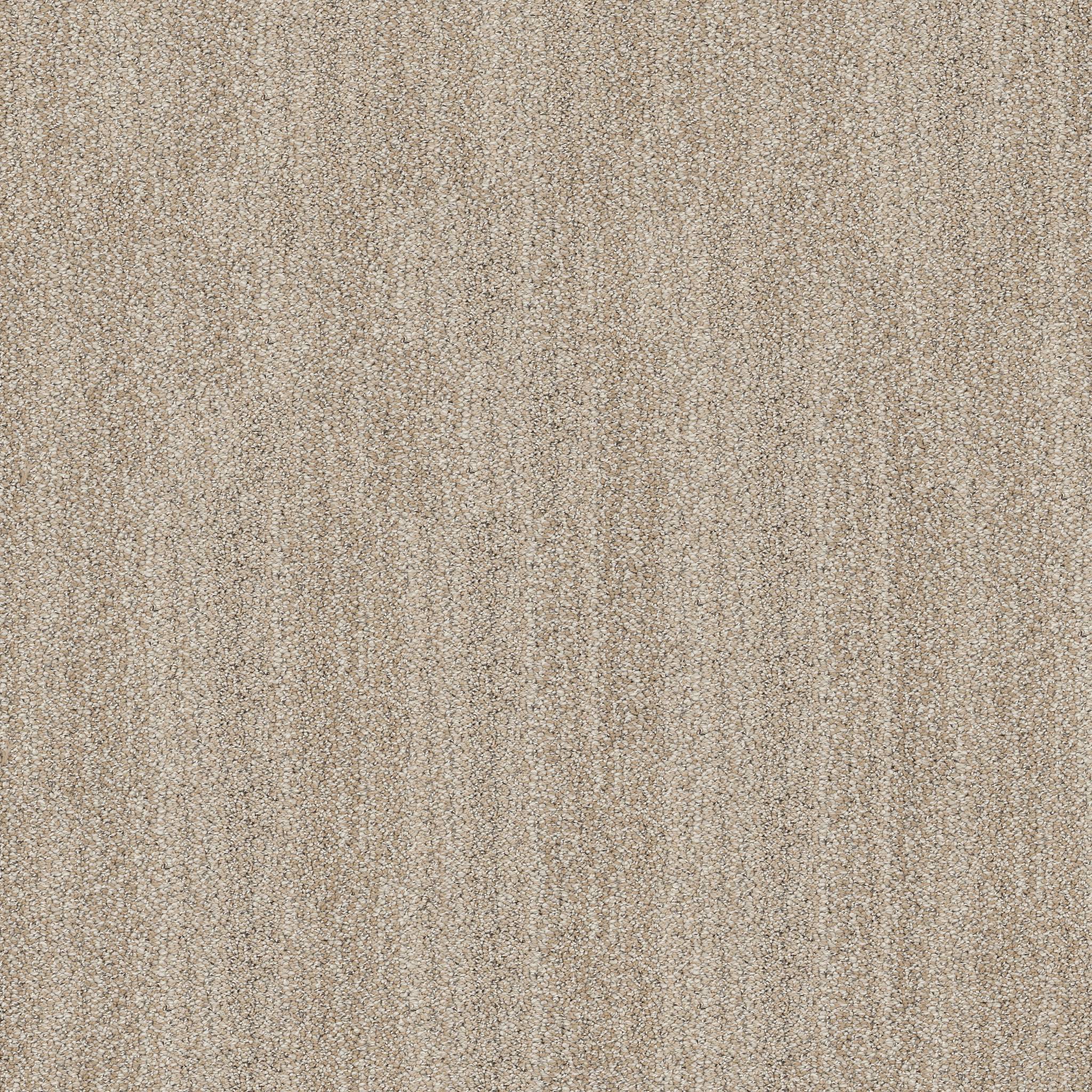In Tempo Carpet - Almond Zoomed Swatch Image