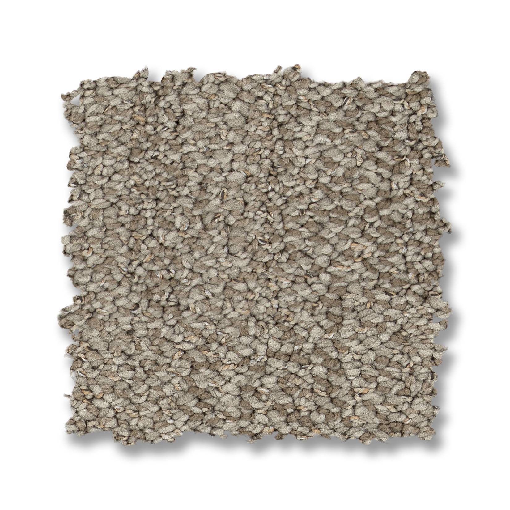 In Tempo Carpet - Driftwood Swatch Thumbnail pupop1