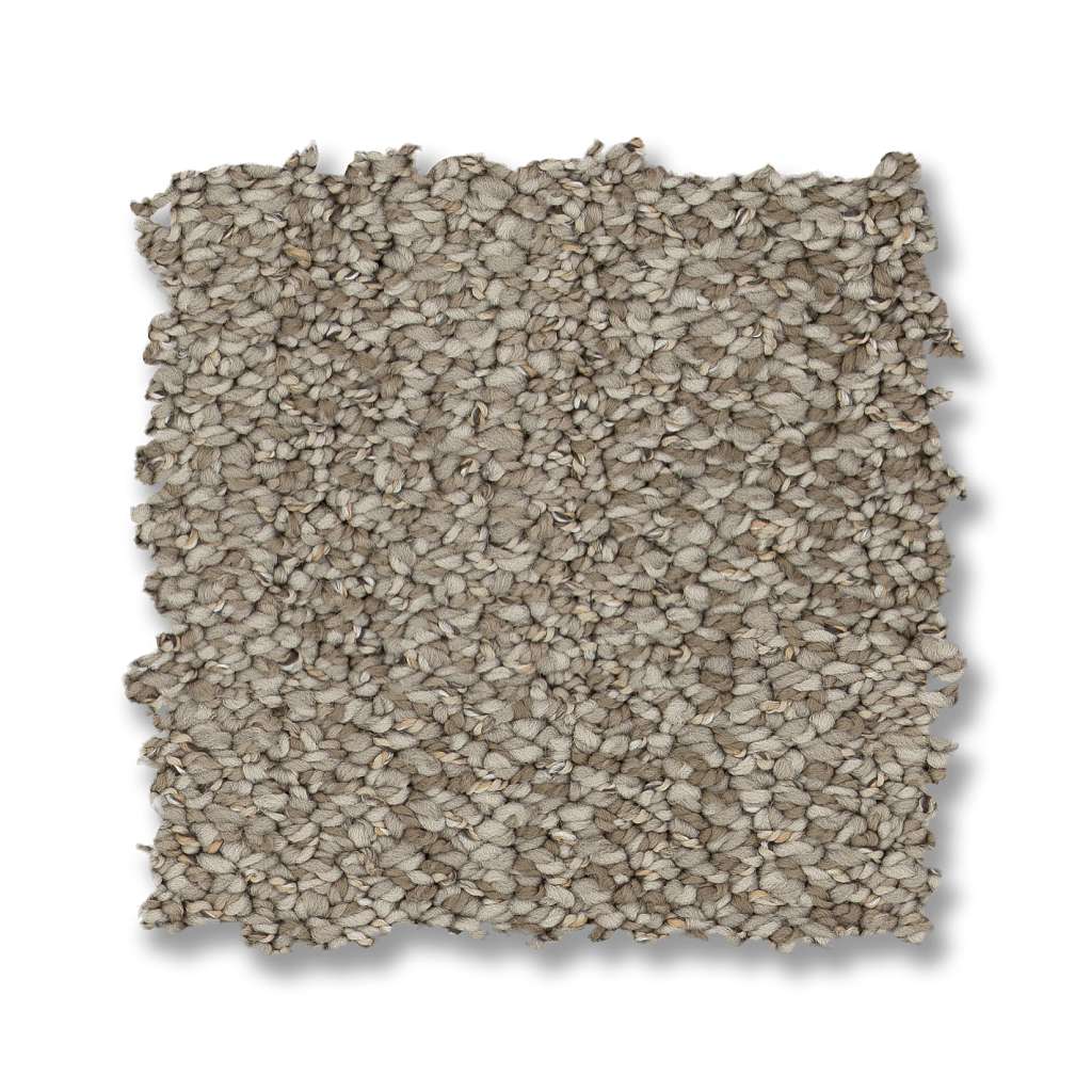 In Tempo Carpet - Driftwood  Swatch Image 