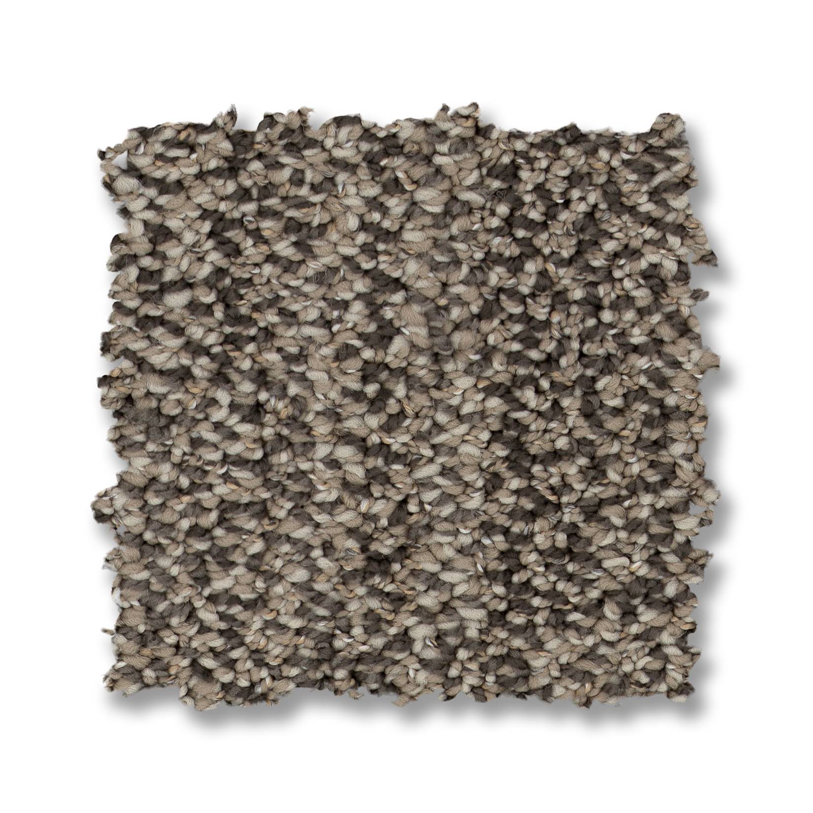 In Tempo Carpet - Derby Swatch Thumbnail pupop1