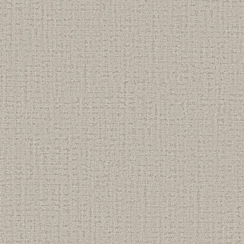 in step zz368 - almond Costco | Shaw Carpet: Berber, Texture