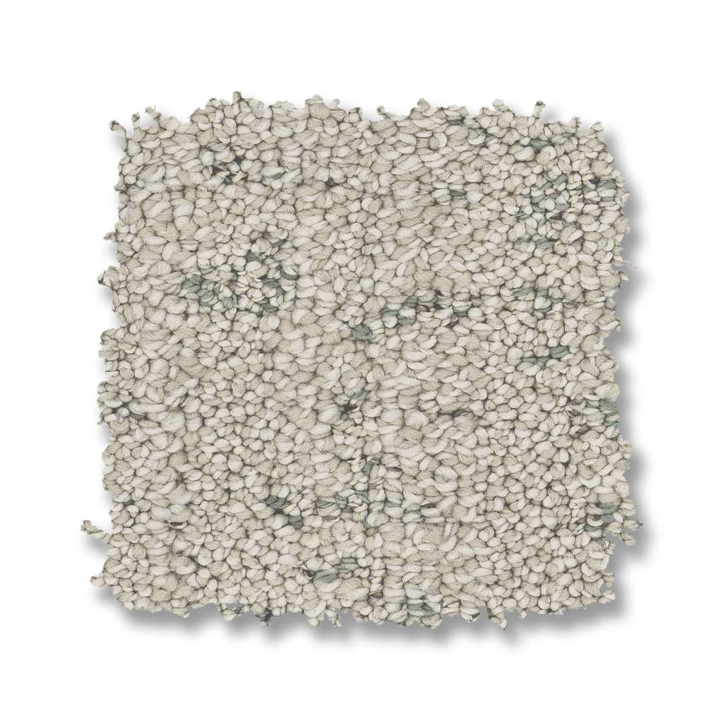 in step zz368 - moss Costco | Shaw Carpet: Berber, Texture & more