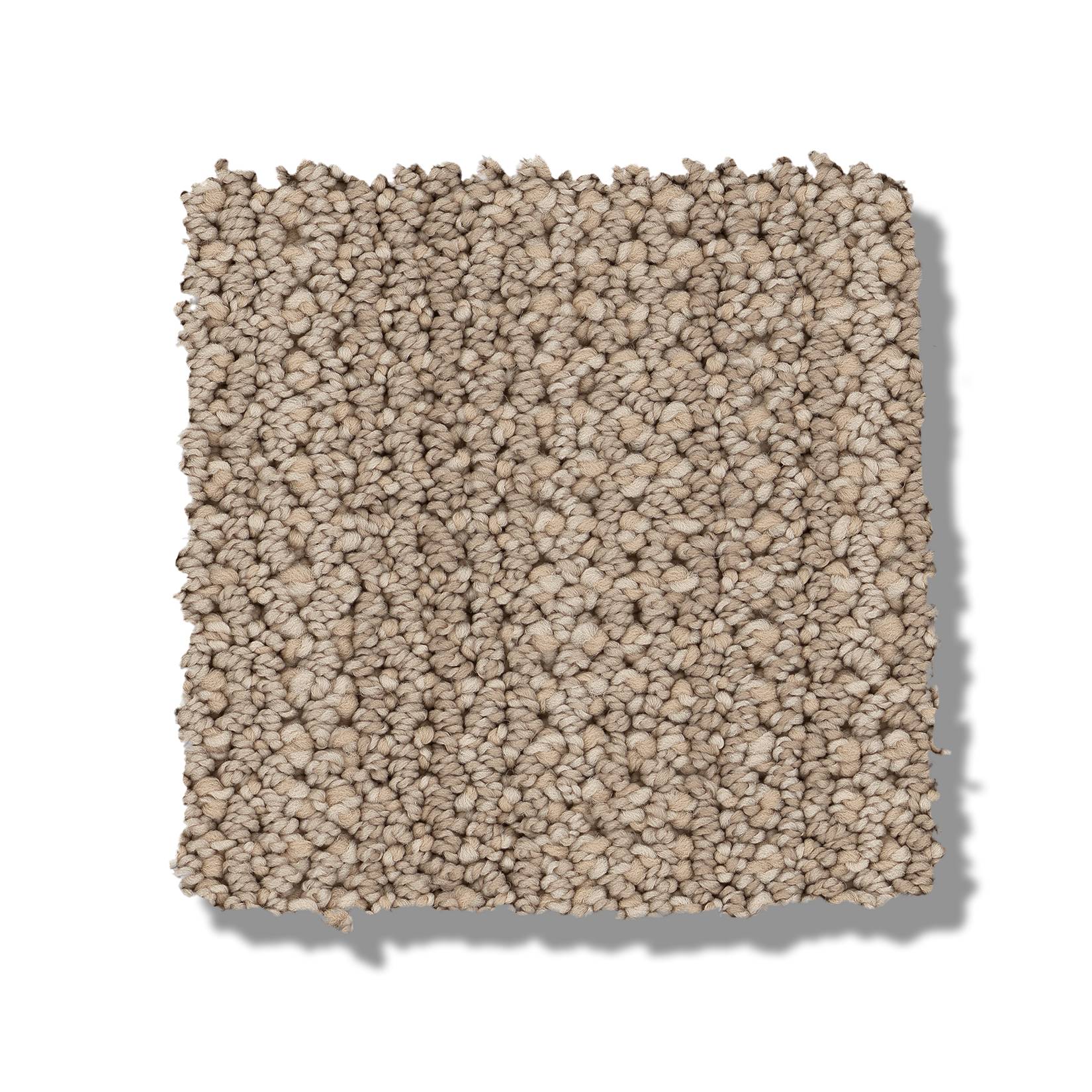 In Rhythm Carpet - Bagel Swatch Thumbnail pupop1