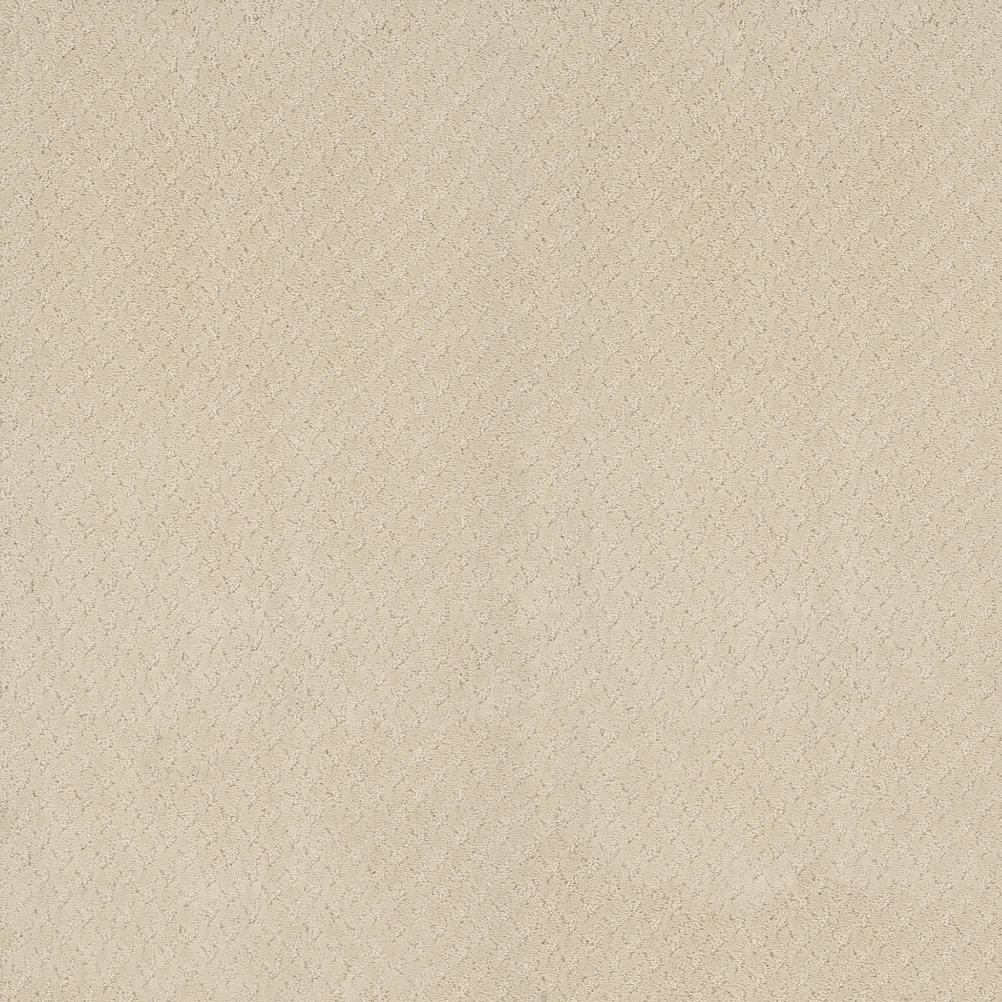 aperture zz391 - buff ivory Costco | Shaw Carpet: Berber, Texture ...
