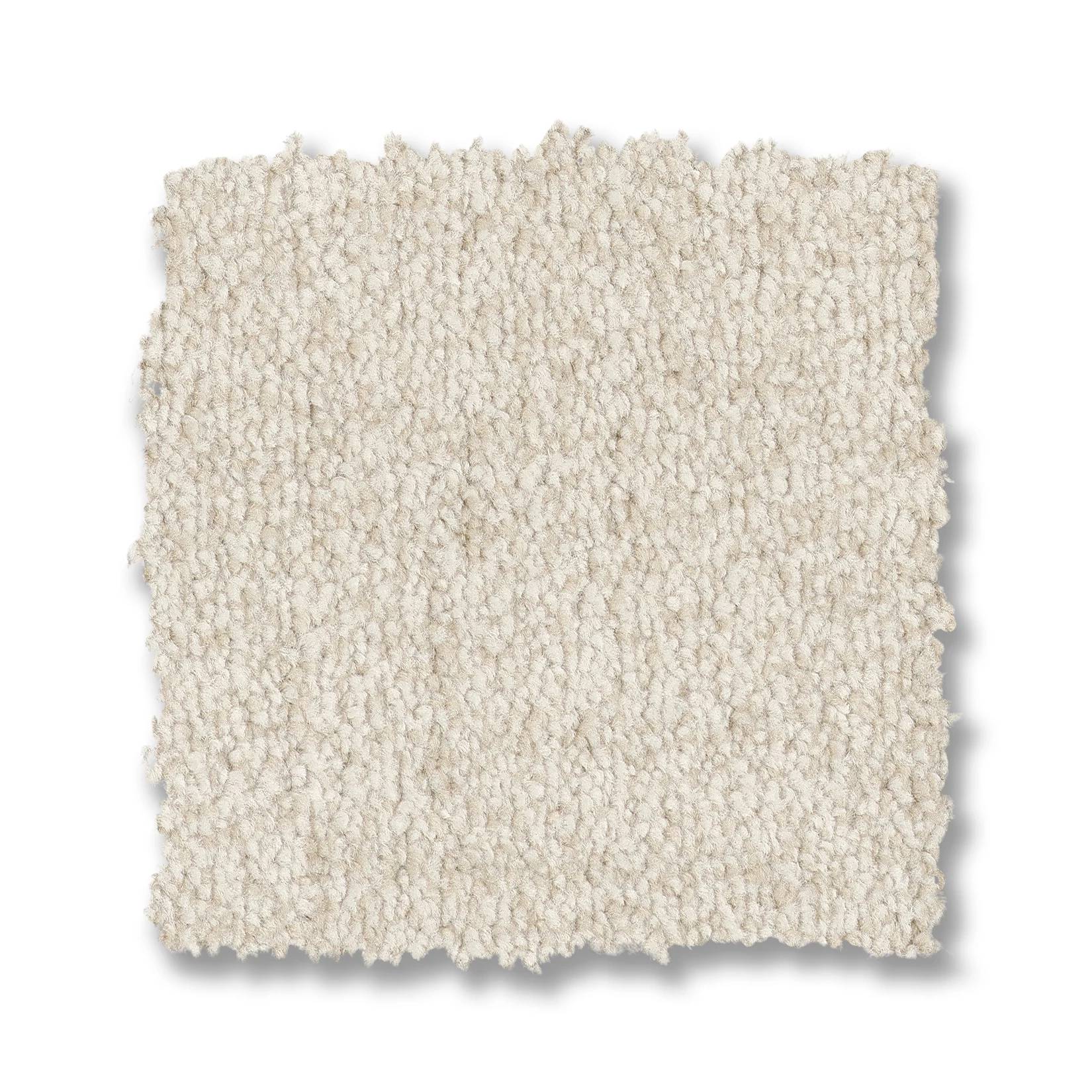 Silhouette Carpet - Oat Milk Swatch Thumbnail pupop1
