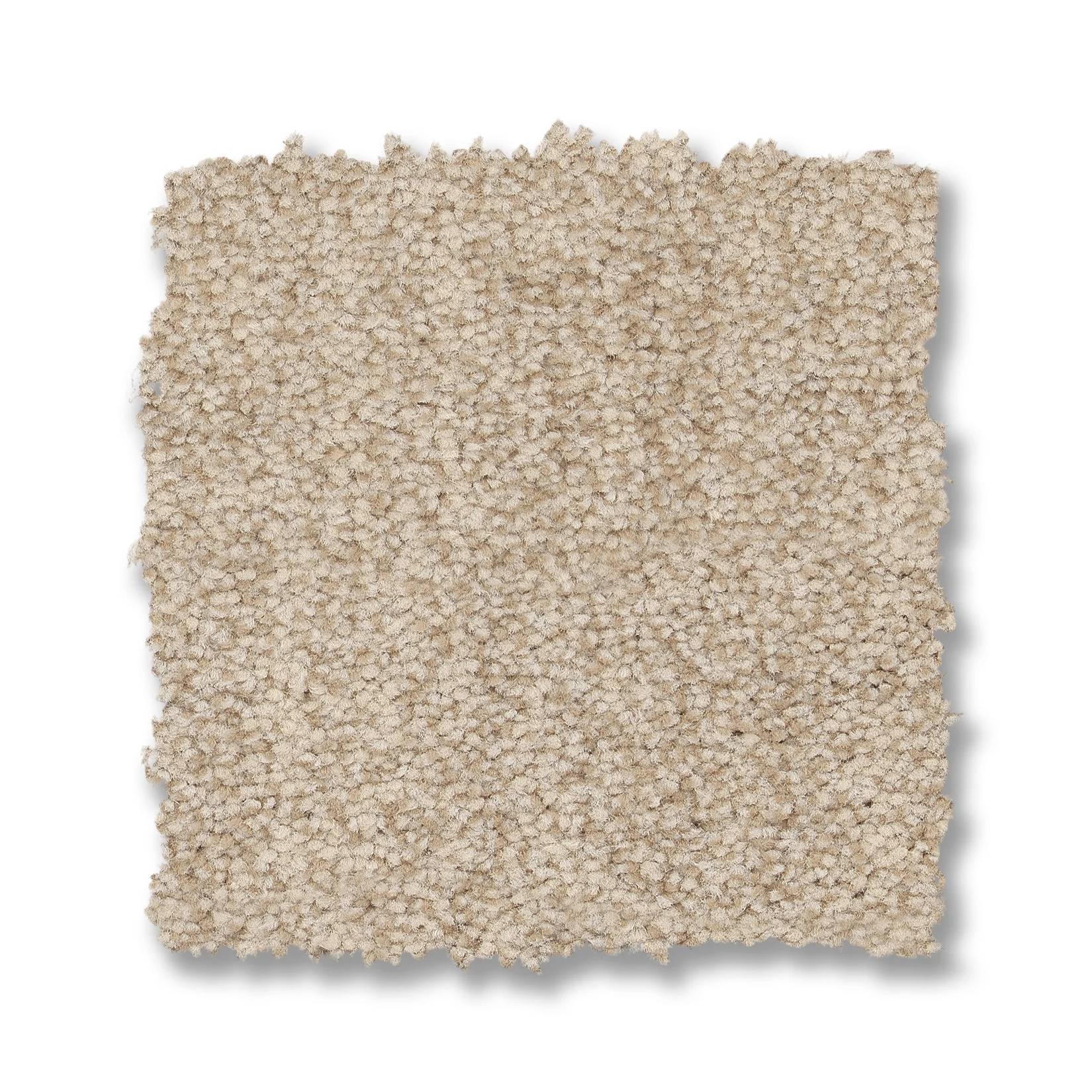 Silhouette Carpet - Ecru Swatch Thumbnail pupop1