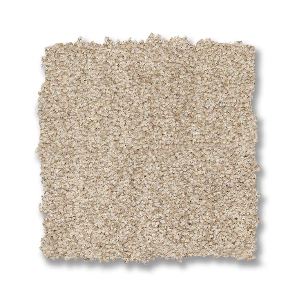 Silhouette Carpet - Ecru  Swatch Image 