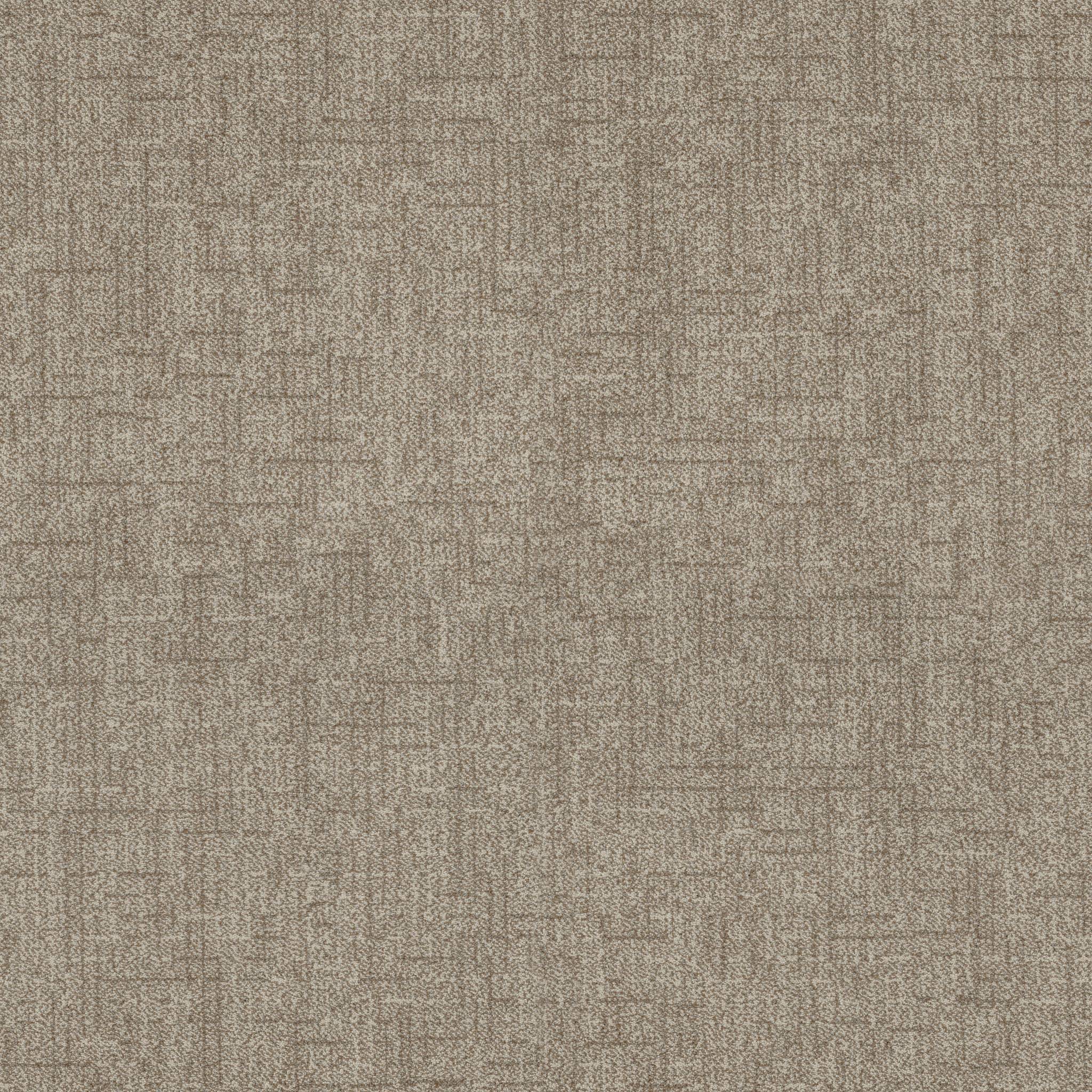 Silhouette Carpet - Barn Owl Zoomed Swatch Image