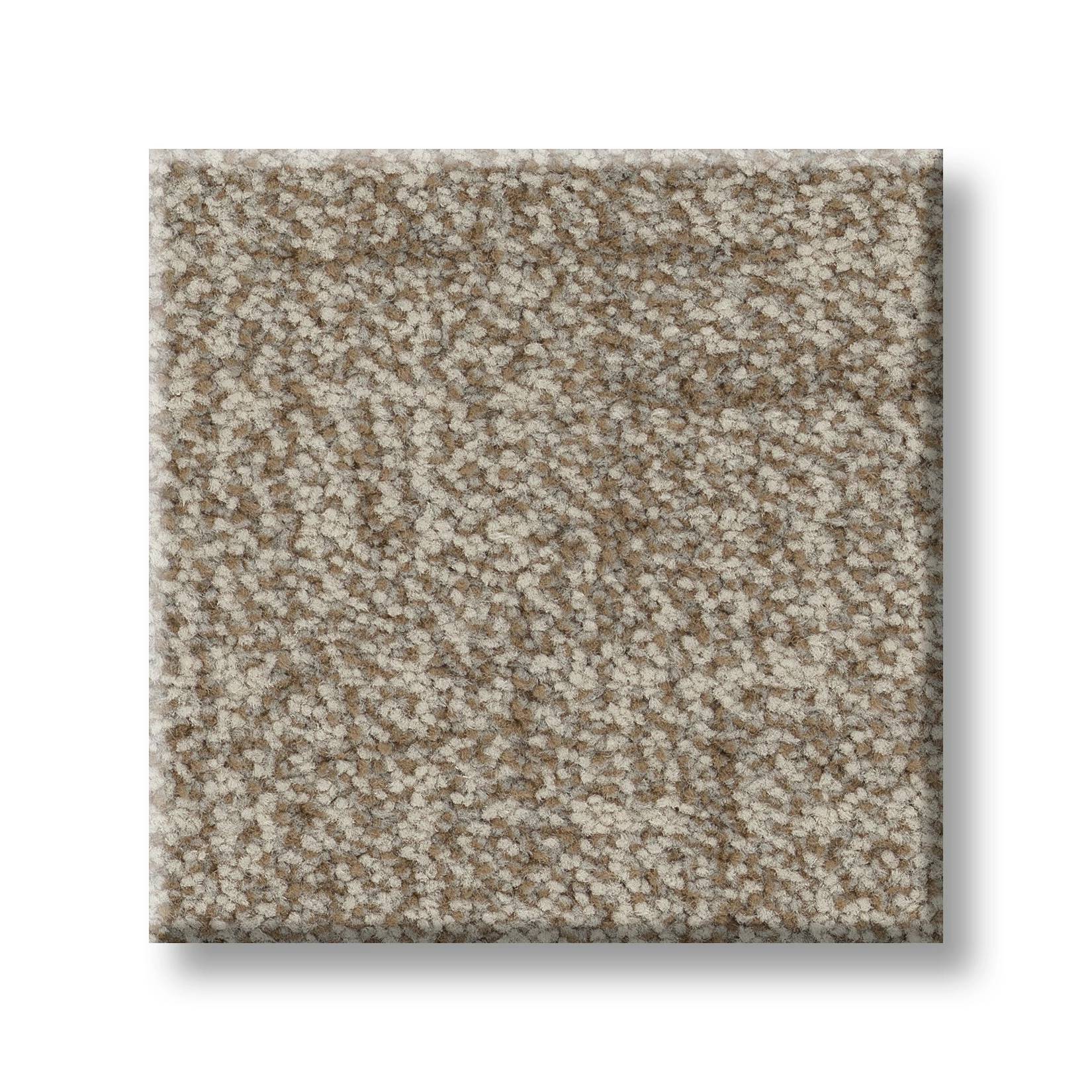 Silhouette Carpet - Barn Owl Swatch Thumbnail pupop1
