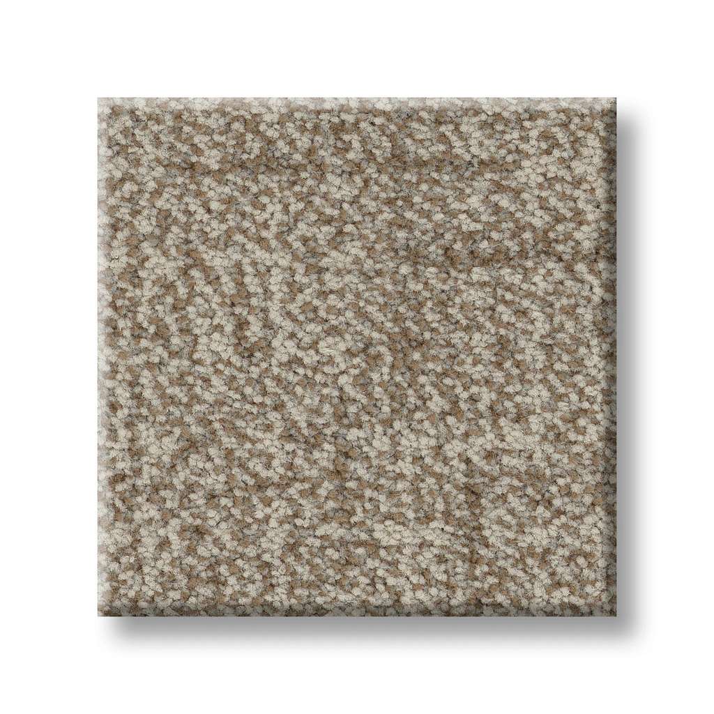 Silhouette Carpet - Barn Owl  Swatch Image 