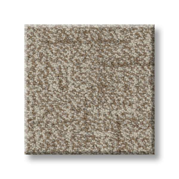 Style Silhouette Carpet - Barn Owl Swatch