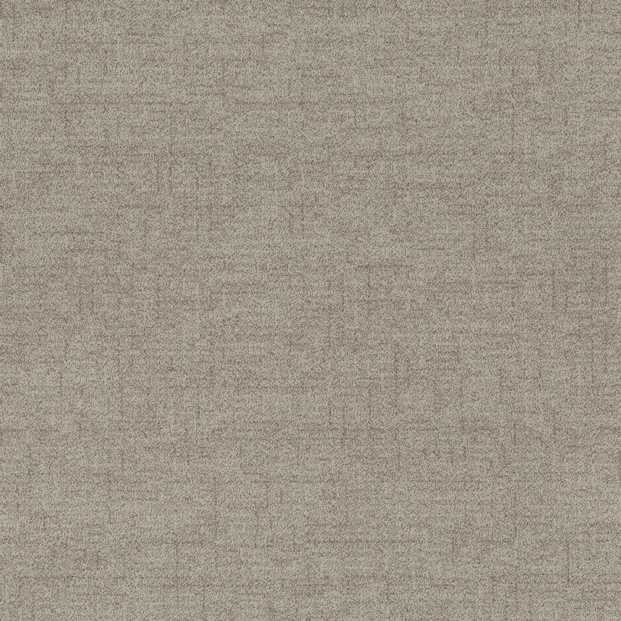 Silhouette Carpet - Mushroom Zoomed Swatch Image
