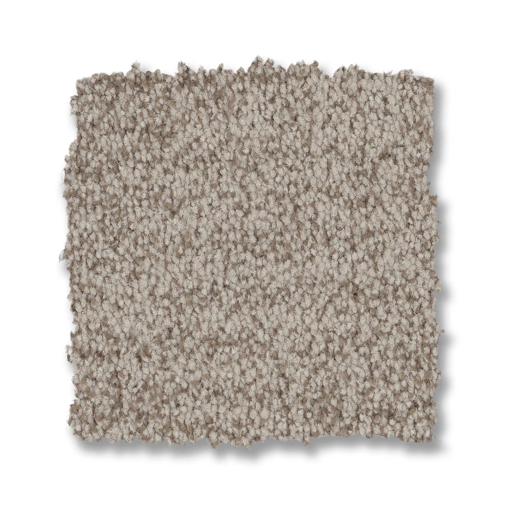 Silhouette Carpet - Mushroom Swatch Thumbnail pupop1