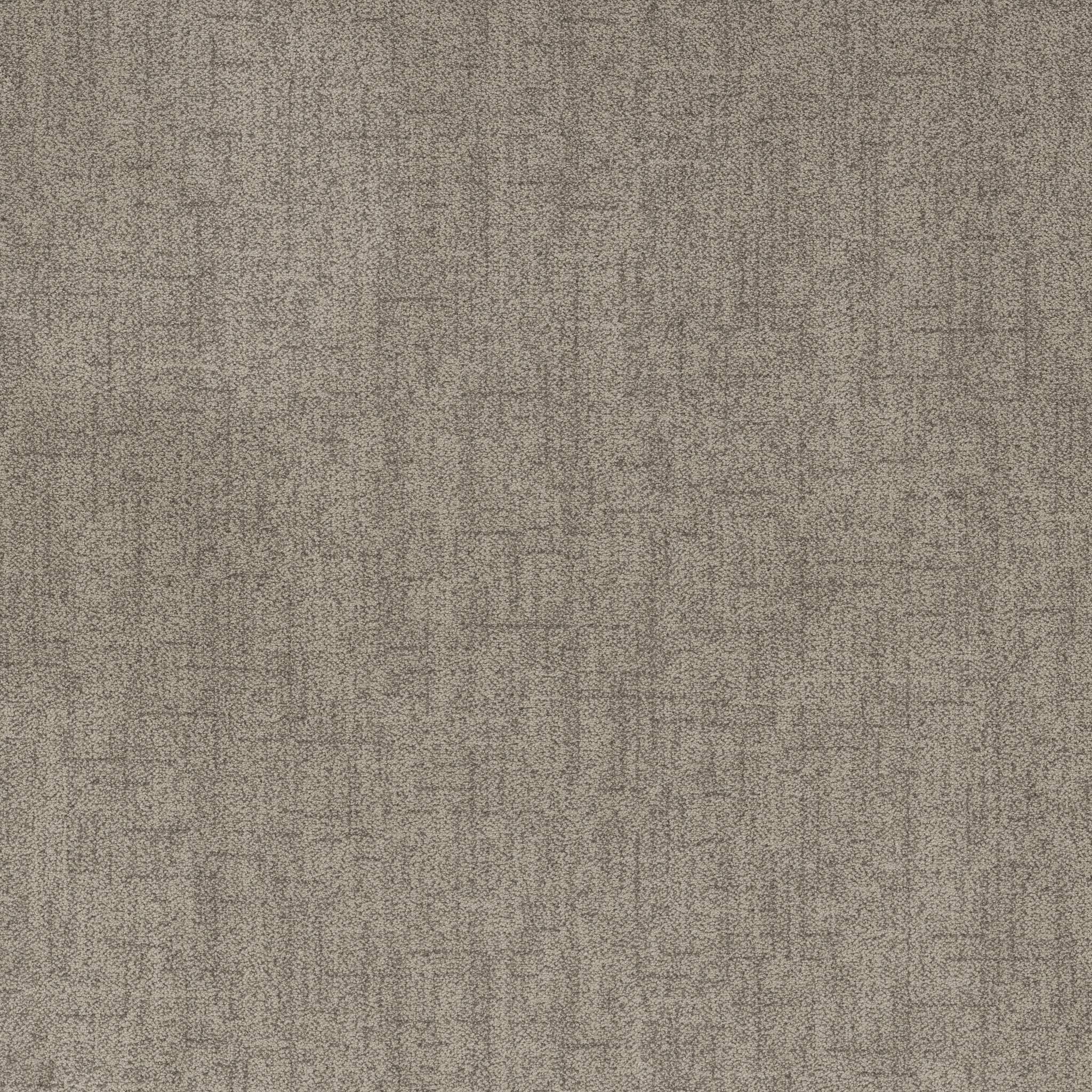 Silhouette Carpet - Taupe Haze Zoomed Swatch Image