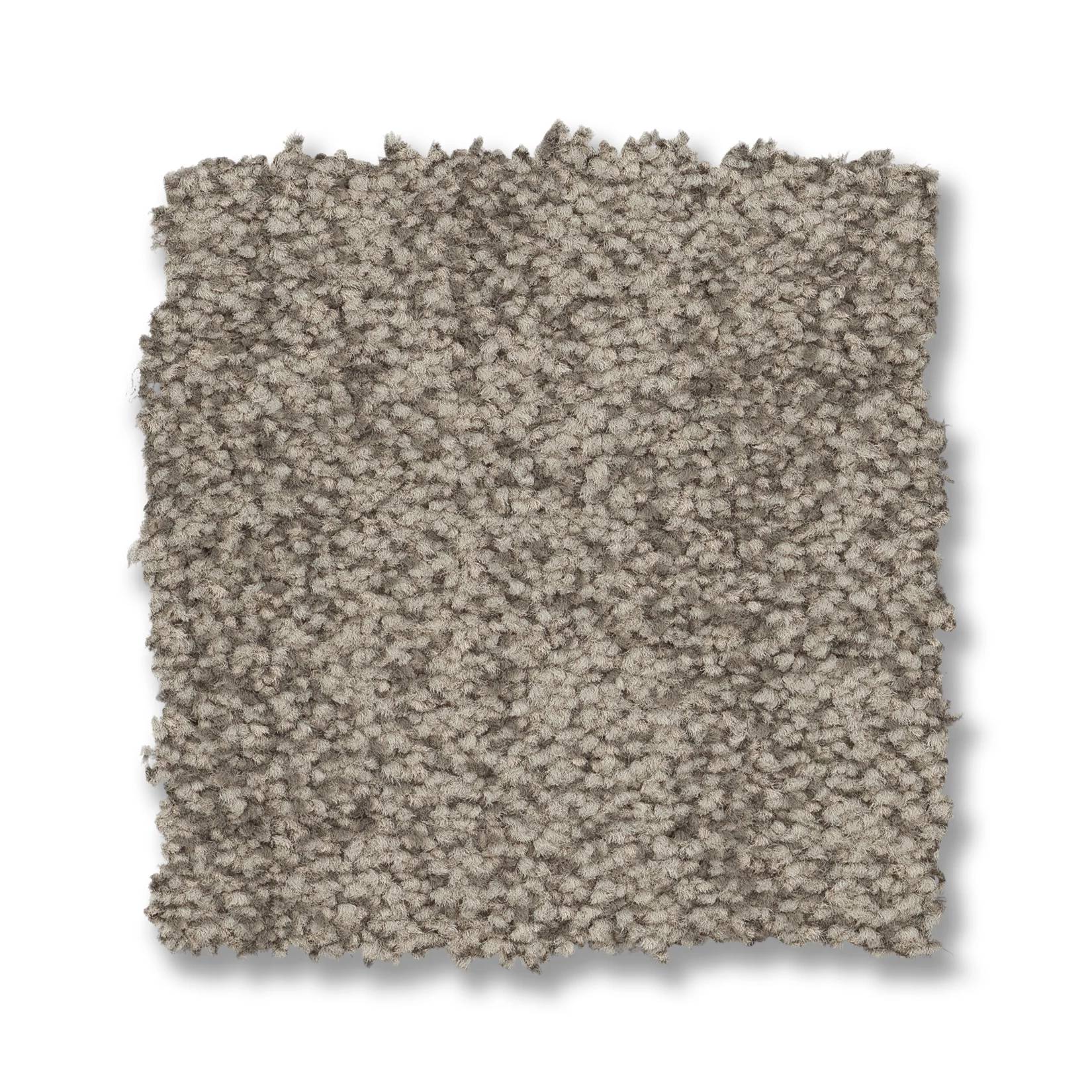 Silhouette Carpet - Taupe Haze Swatch Thumbnail pupop1