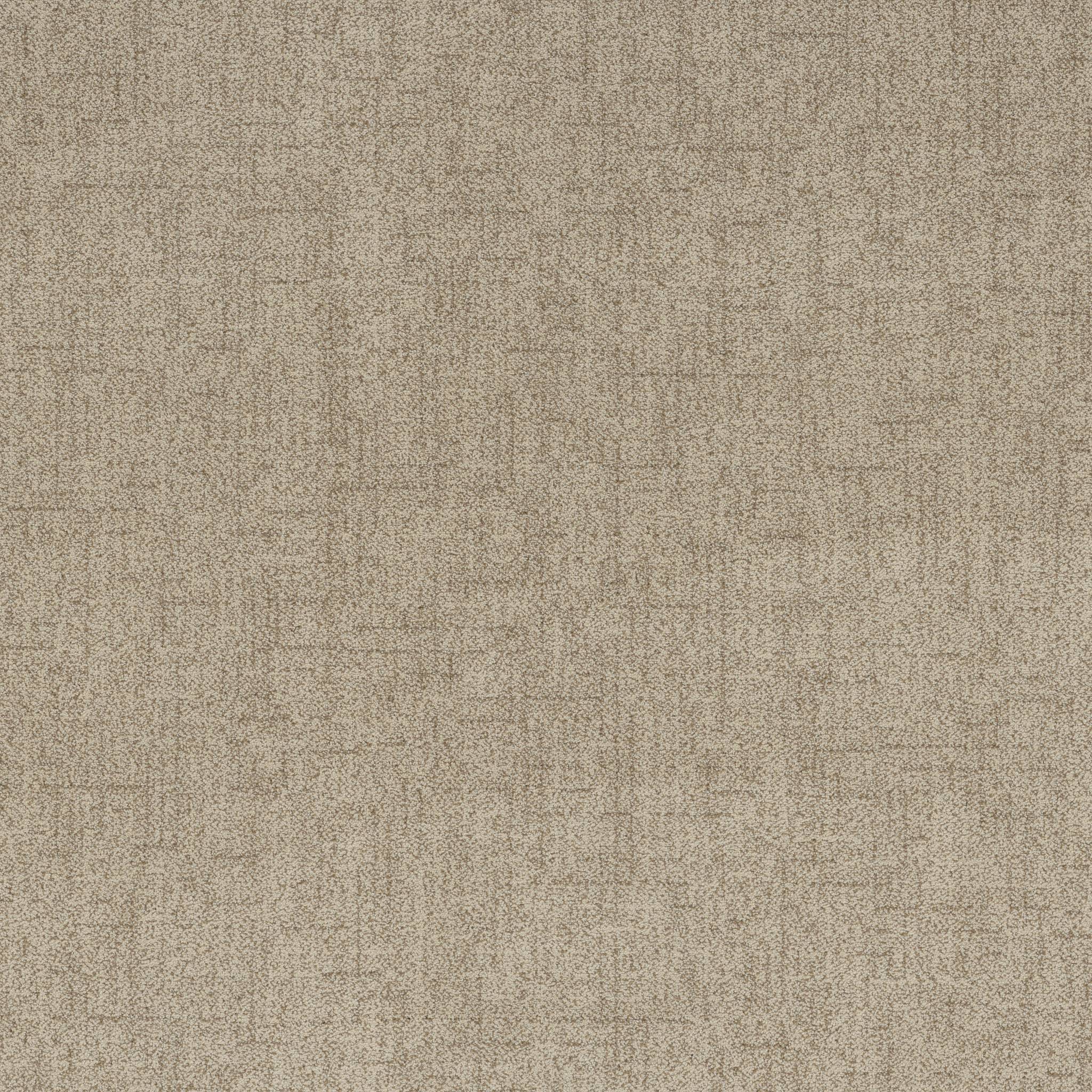 Silhouette Carpet - Soft Tan Zoomed Swatch Image