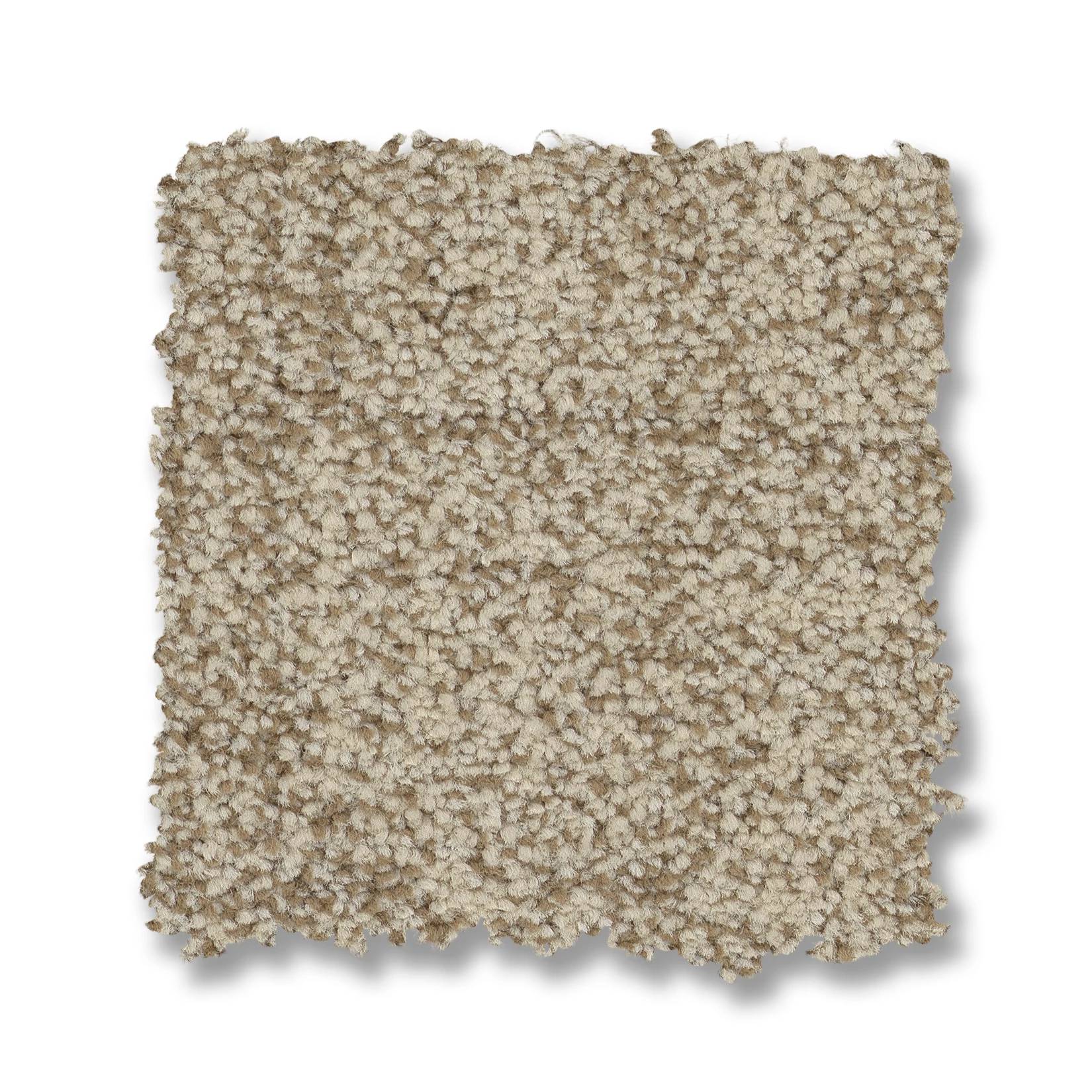 Silhouette Carpet - Soft Tan Swatch Thumbnail pupop1