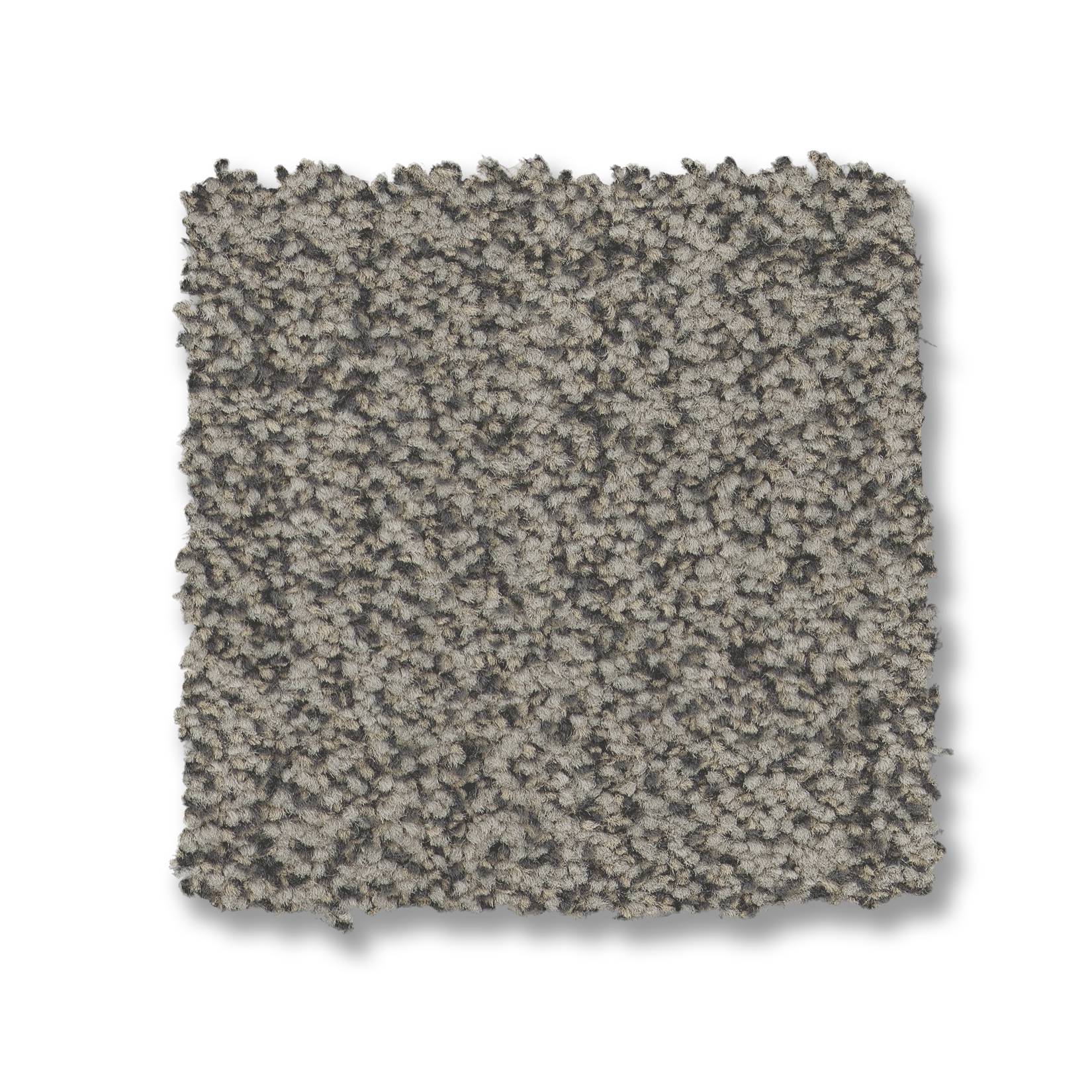 Silhouette Carpet - Graphite Swatch Thumbnail pupop1
