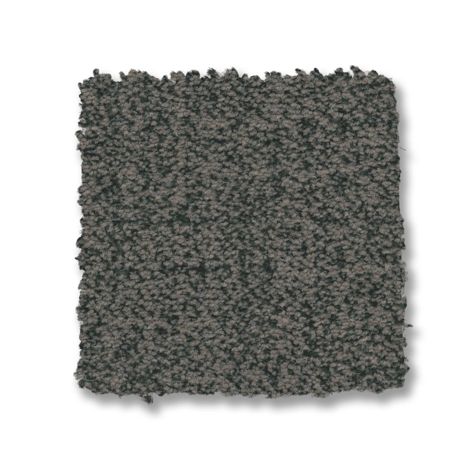 Silhouette Carpet - Peacock Swatch Thumbnail pupop1