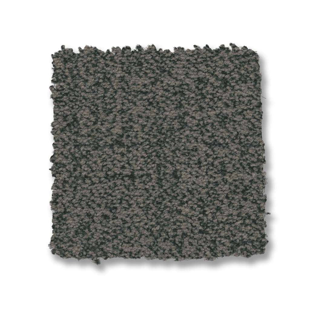 Silhouette Carpet - Peacock  Swatch Image 