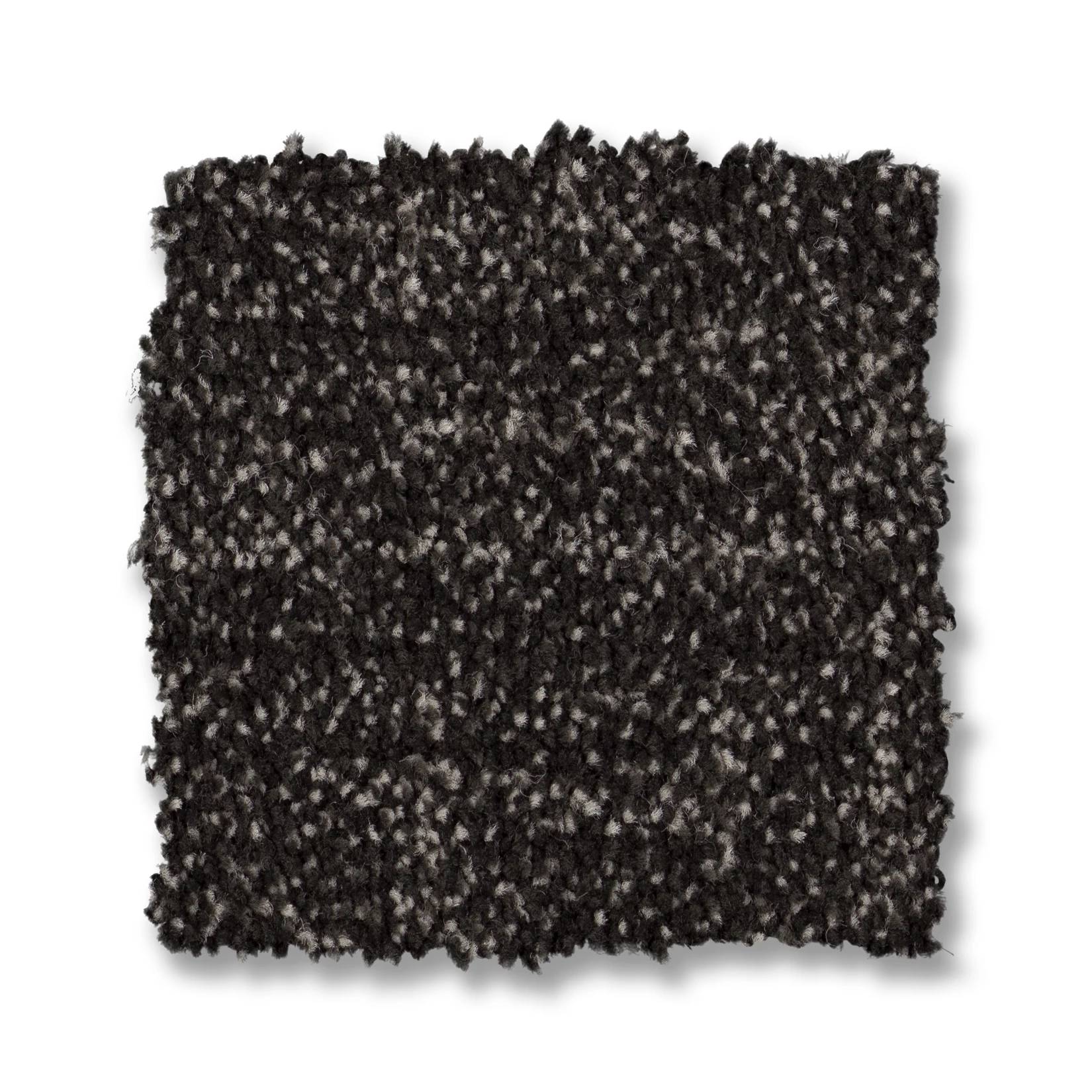 Silhouette Carpet - Ebony Swatch Thumbnail pupop1