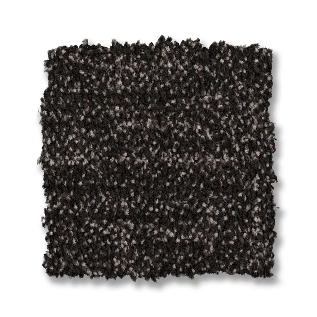 Silhouette Carpet - Ebony  Swatch Image 
