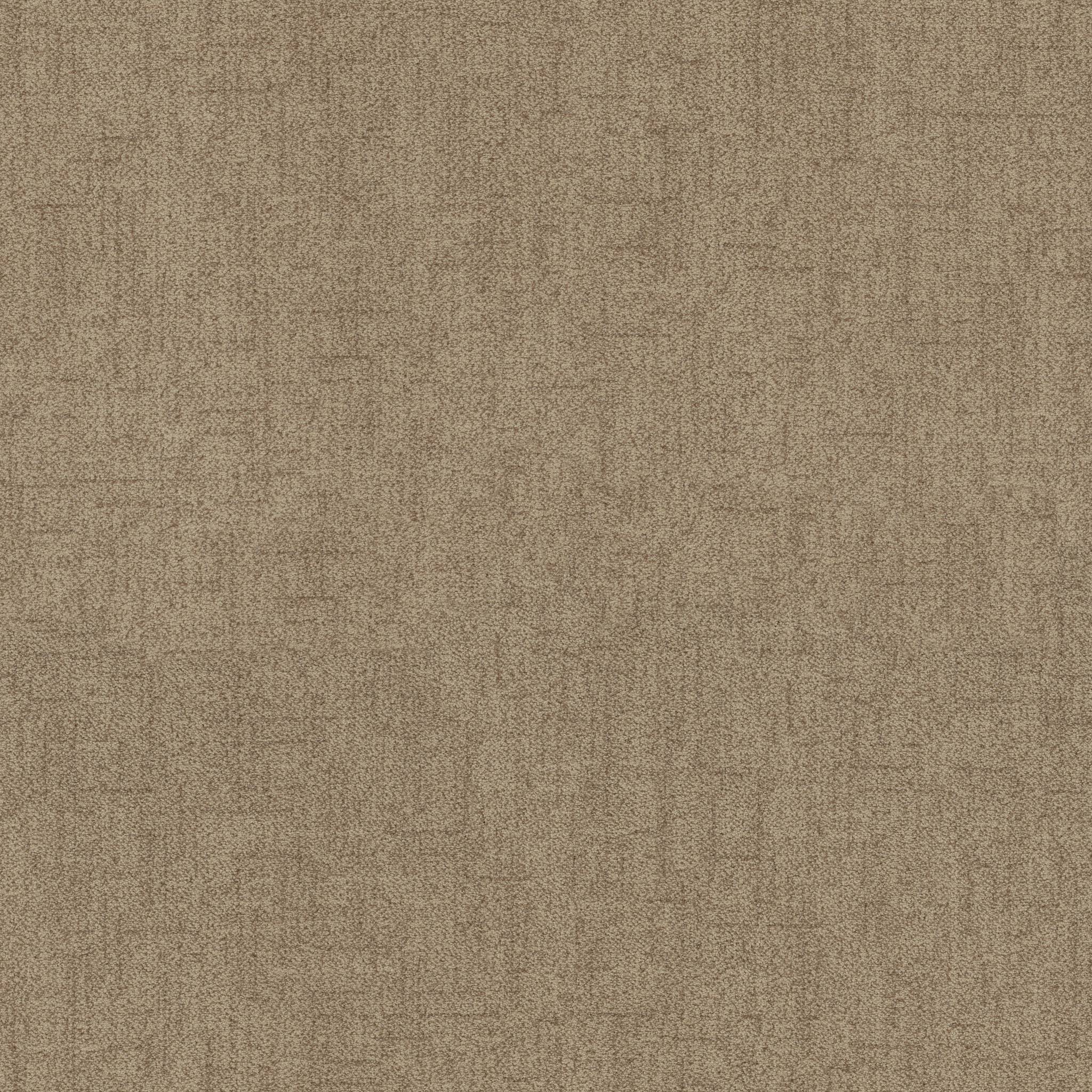 Silhouette Carpet - Canyon Zoomed Swatch Image