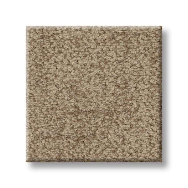 Style Silhouette Carpet - Canyon Swatch