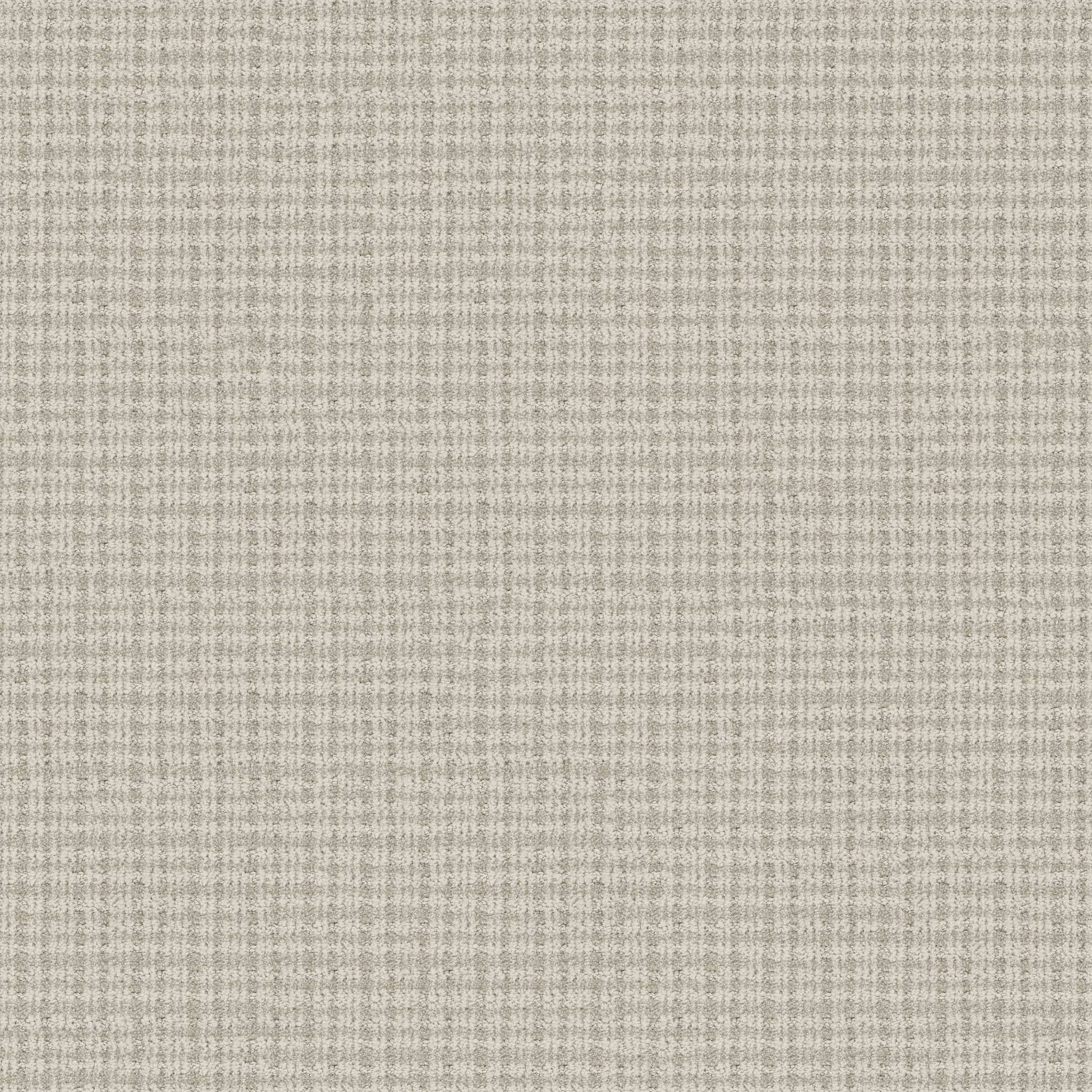 Radiance Carpet - Dove Zoomed Swatch Image