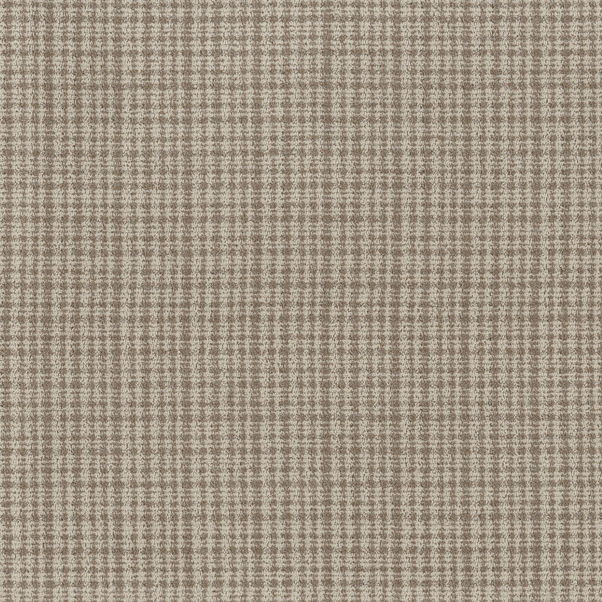 Radiance Carpet - Barn Owl Zoomed Swatch Image