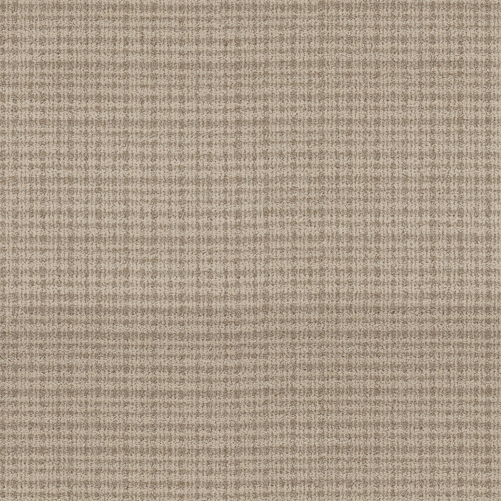 Radiance Carpet - Soft Tan Zoomed Swatch Image