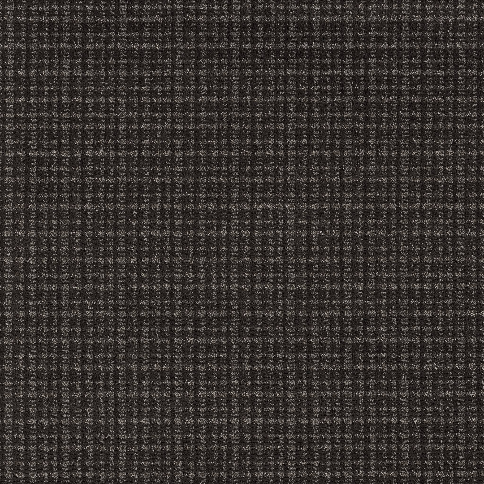 Radiance Carpet - Ebony Zoomed Swatch Image