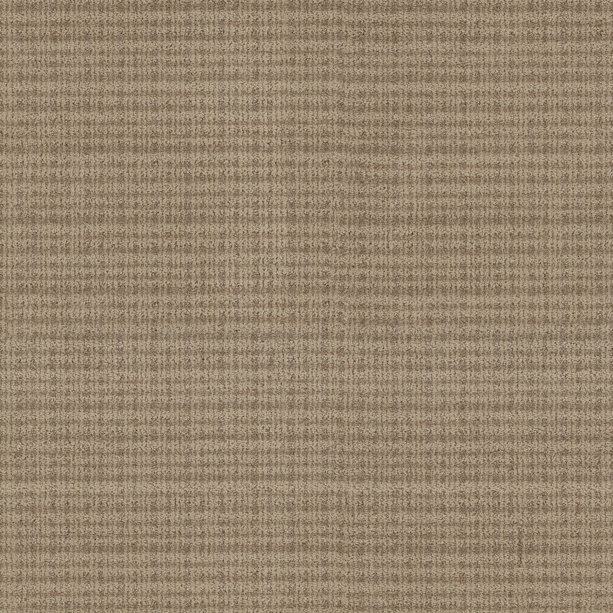 Radiance Carpet - Canyon Zoomed Swatch Image