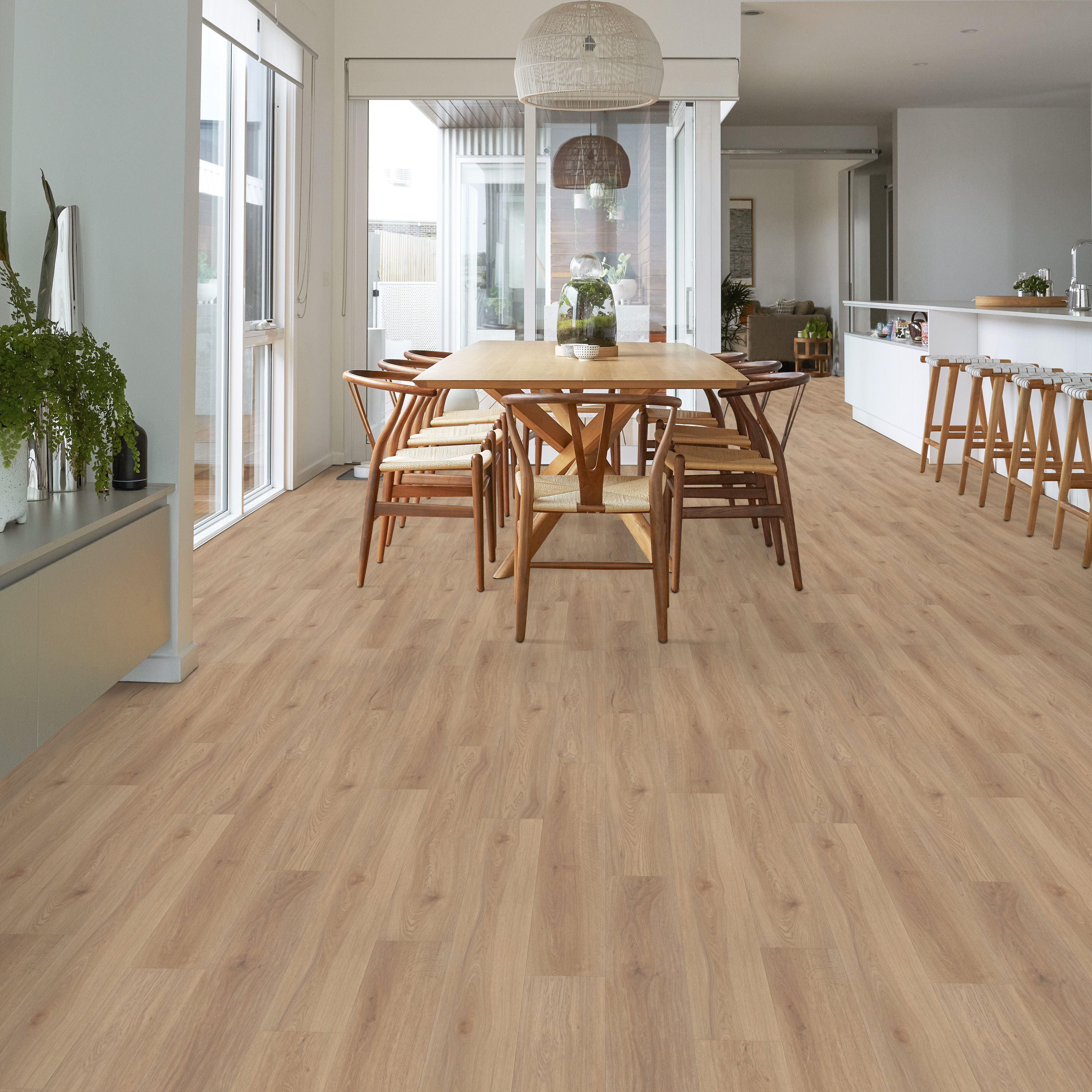 Runner Up - Springfield Oak - 017CT_01020