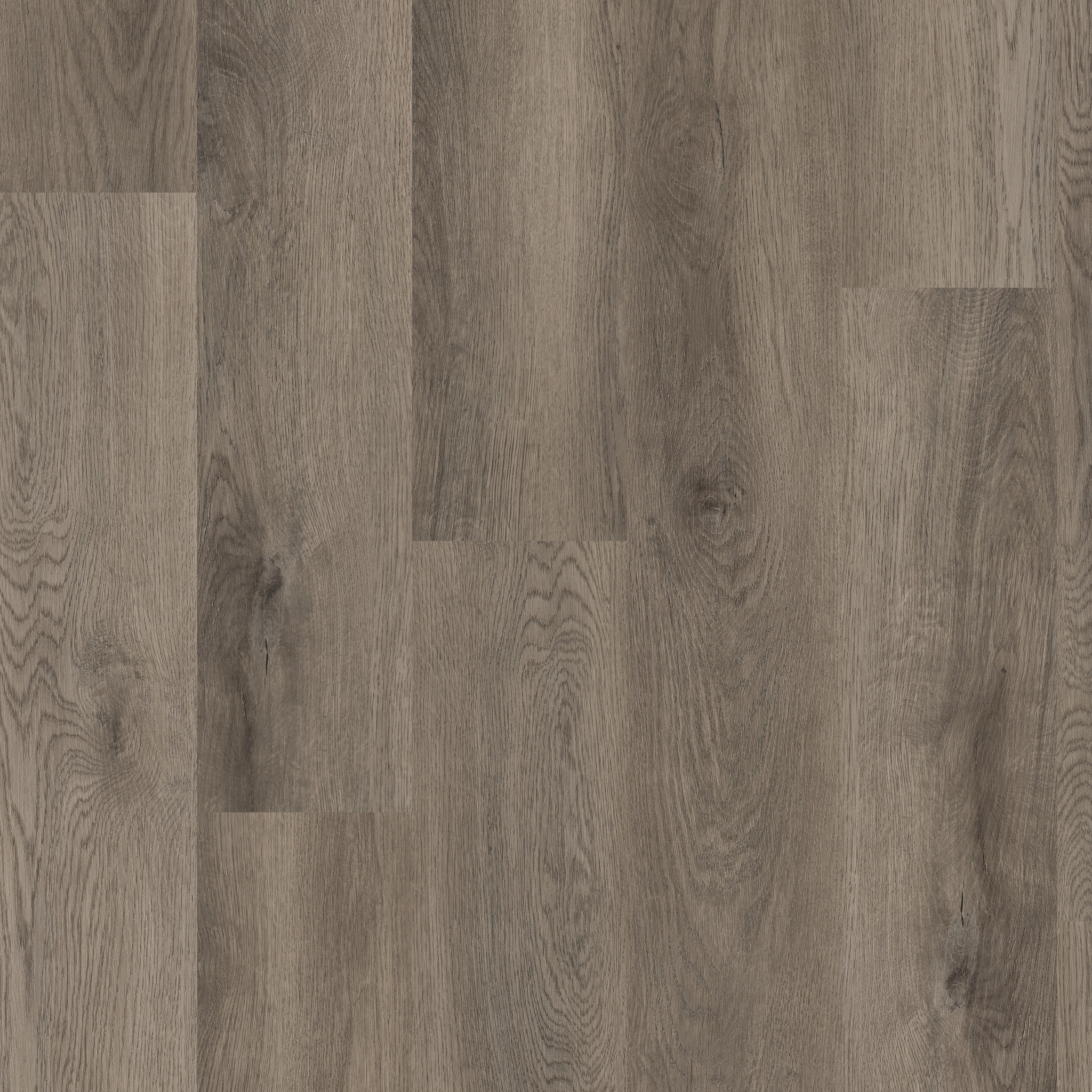 Runner Up-Elliptical Oak-017CT_02062