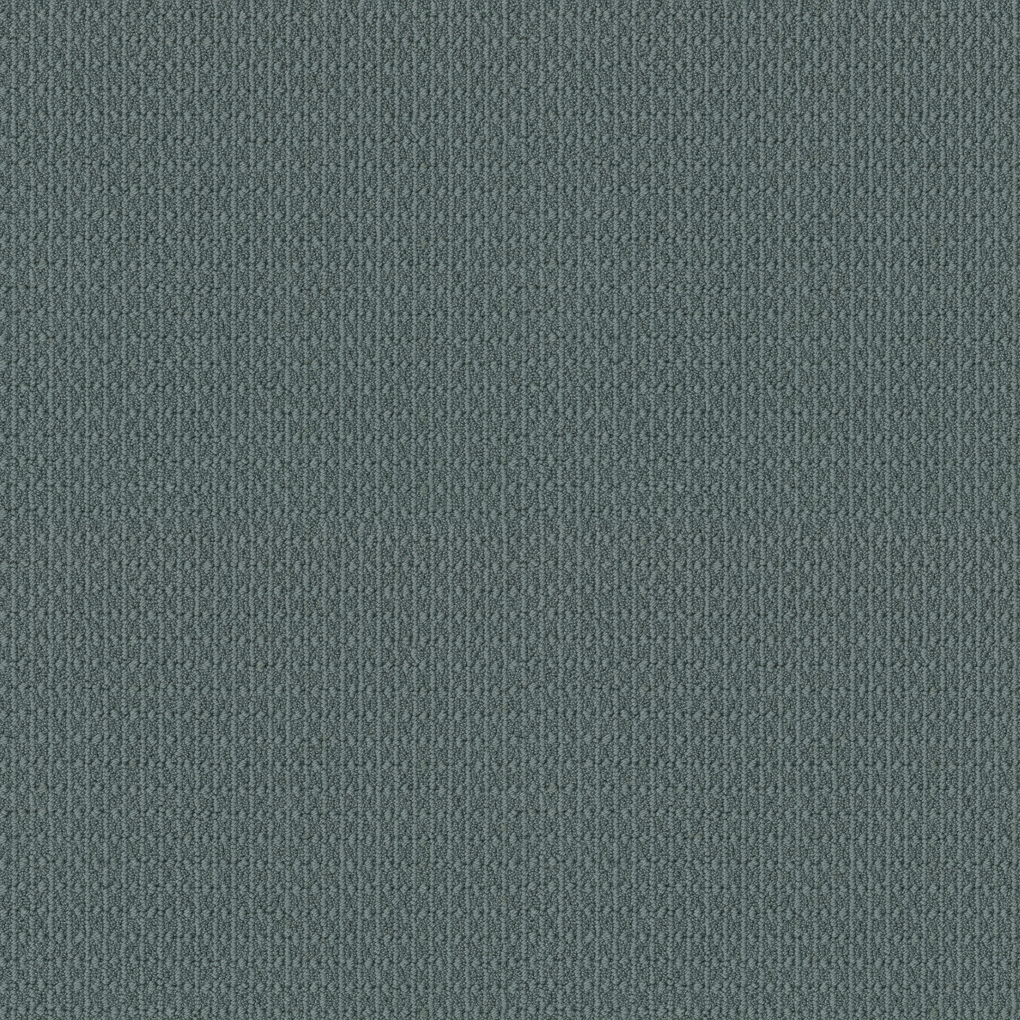 smooth comfort surf spray carpets 035LR_00336 Shaw Builder Flooring