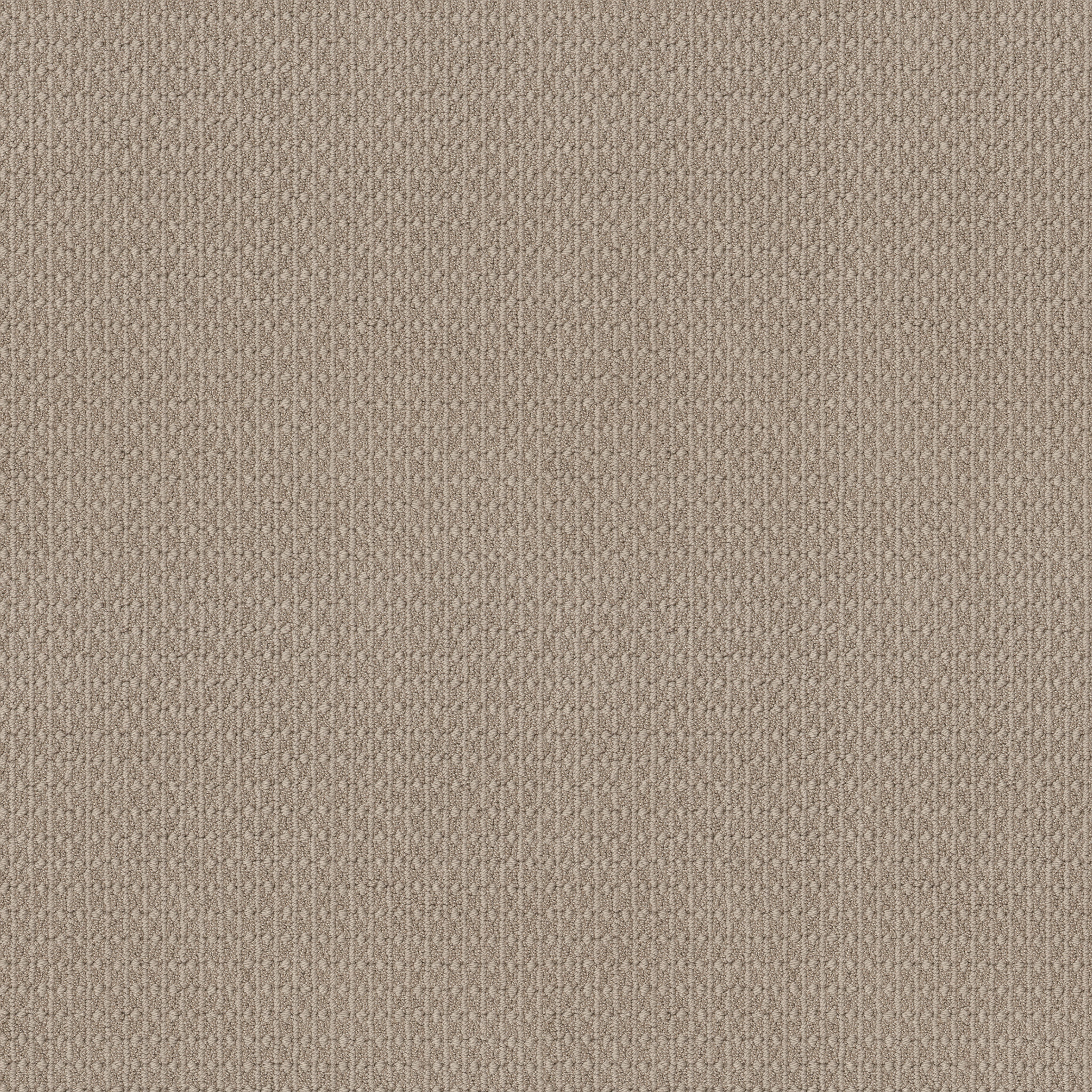 best times neutral ground carpets 035PT00213 Shaw Builder Flooring