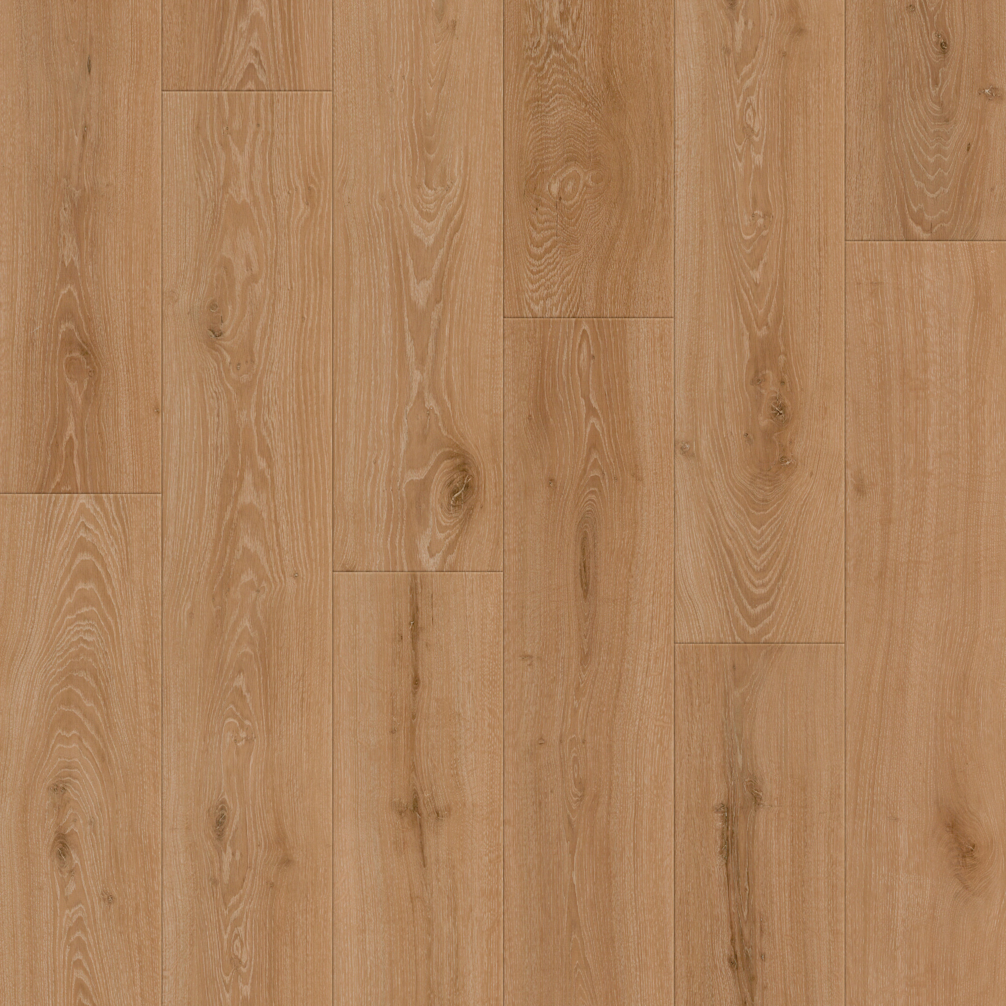 Mod Revival-Sunwashed Oak-145CT_02116