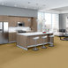 METROWALL-II-234MC-SUNTAN-34201-room-image