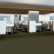 METROWALL-II-234MC-MOSSY-BARK-34302-room-image