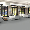 METROWALL-II-234MC-SILVER-FOX-34500-room-image
