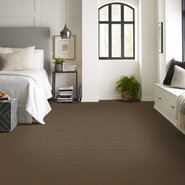 METROWALL-II-234MC-CAMPGROUND-34702-room-image